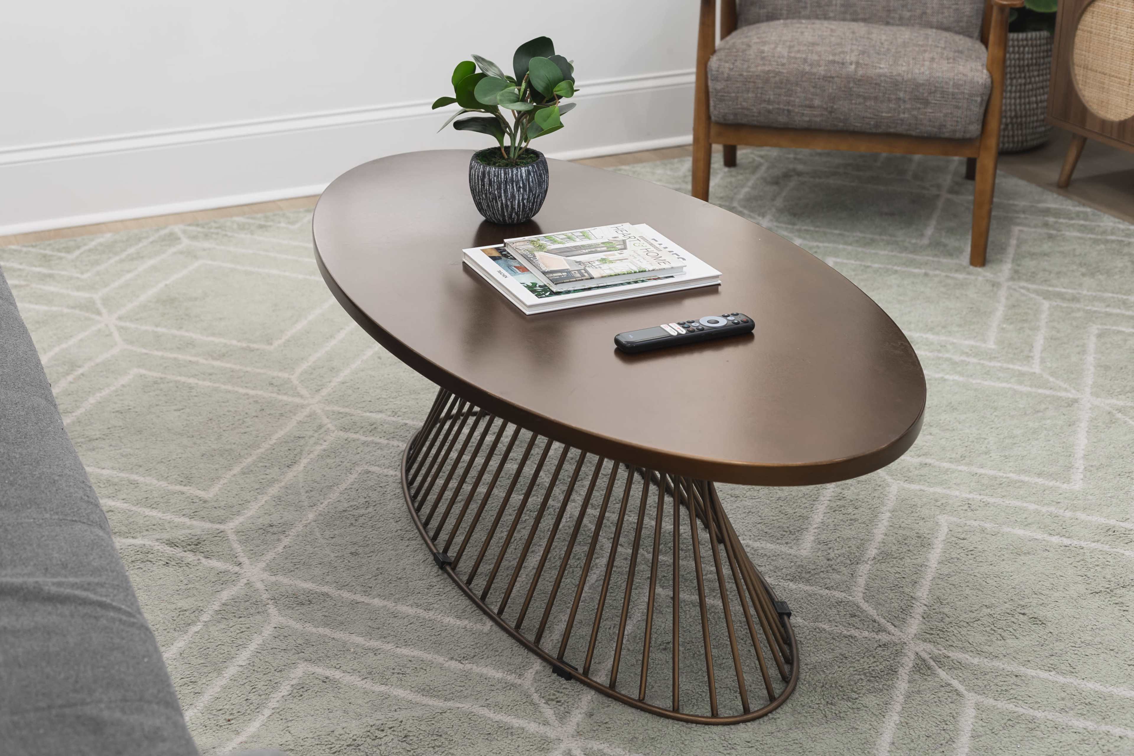 A brown oval coffee table with a metal base supports a potted plant and a stack of magazines, with a remote control nearby, on a patterned rug in a living room setting.