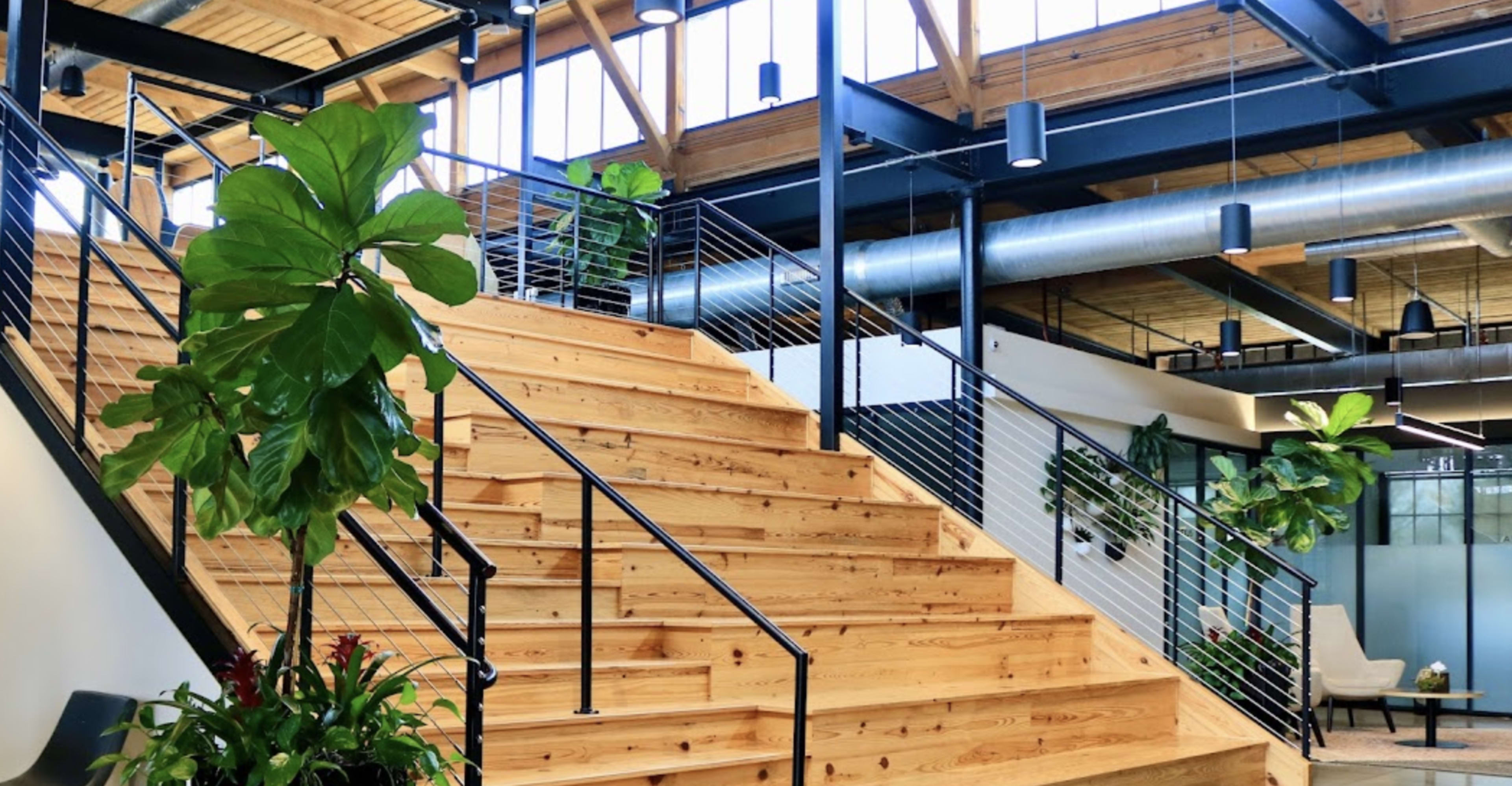 A modern interior with a wooden staircase flanked by large windows and greenery, leading to an upper level in a spacious building.