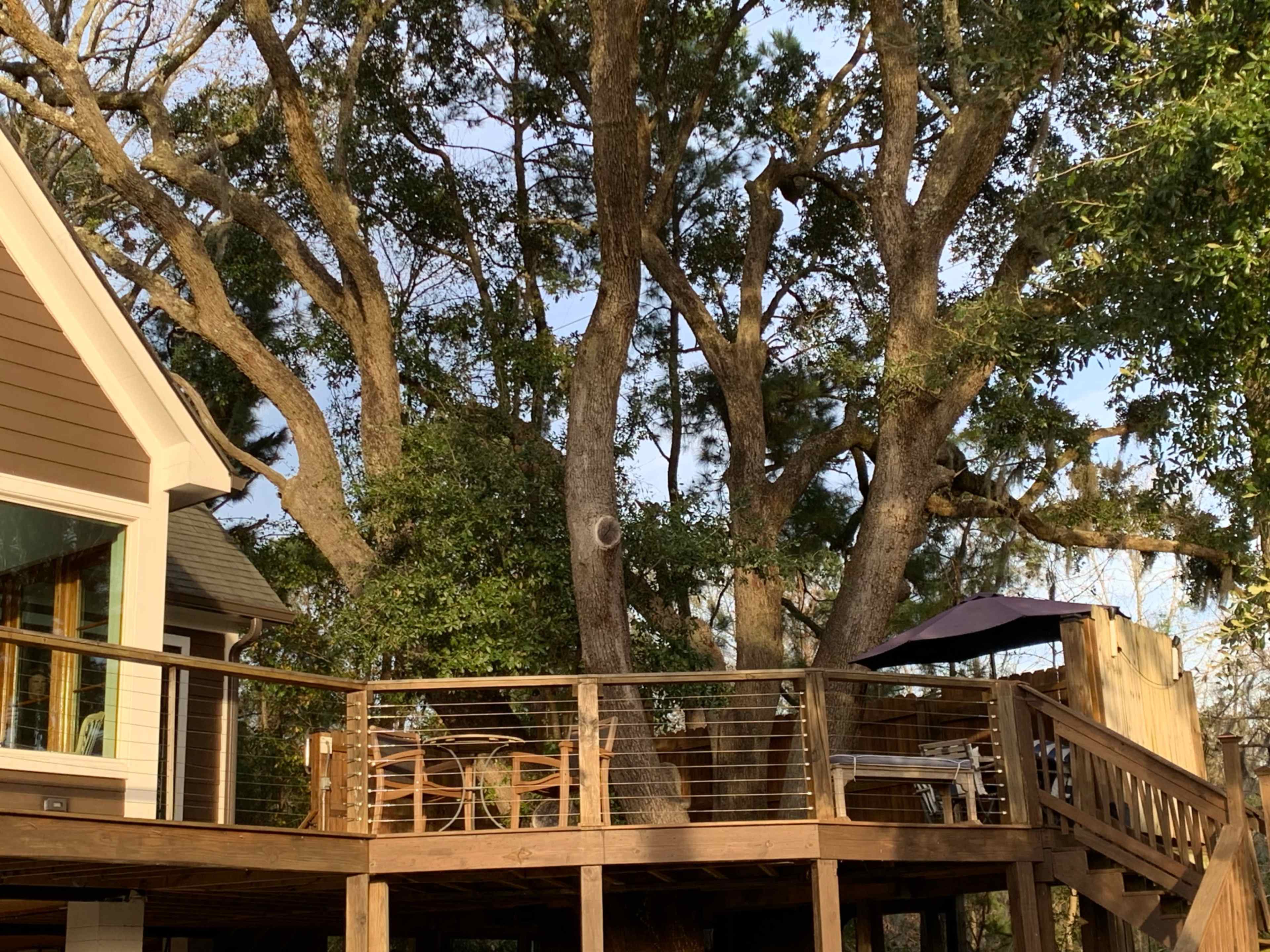 A wooden deck is built around large trees, featuring outdoor seating and a shaded area with an umbrella.