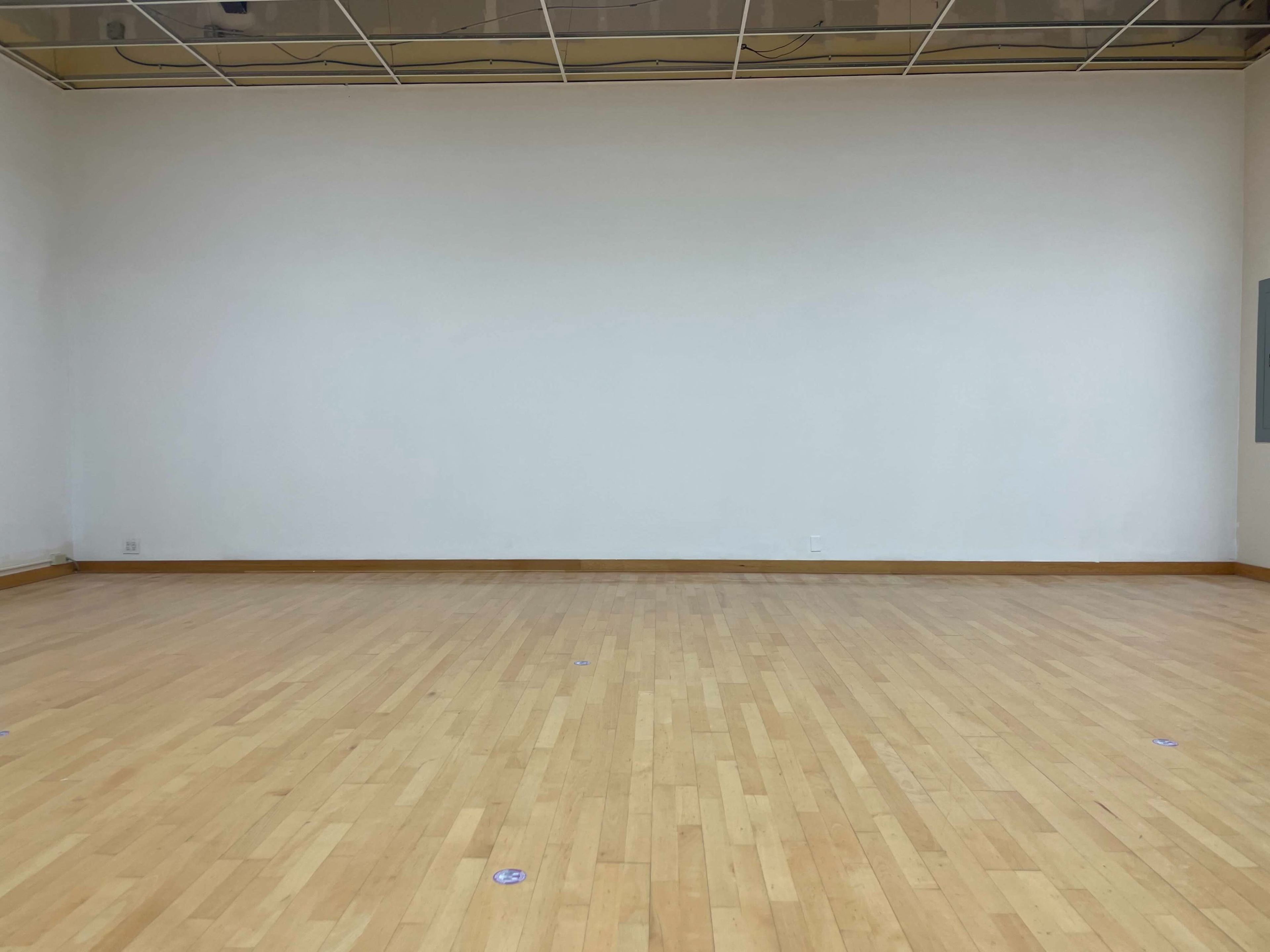 Midtown Spacious Studio with White & Green Cyc Wall Image in Rose Park, Missoula, MT