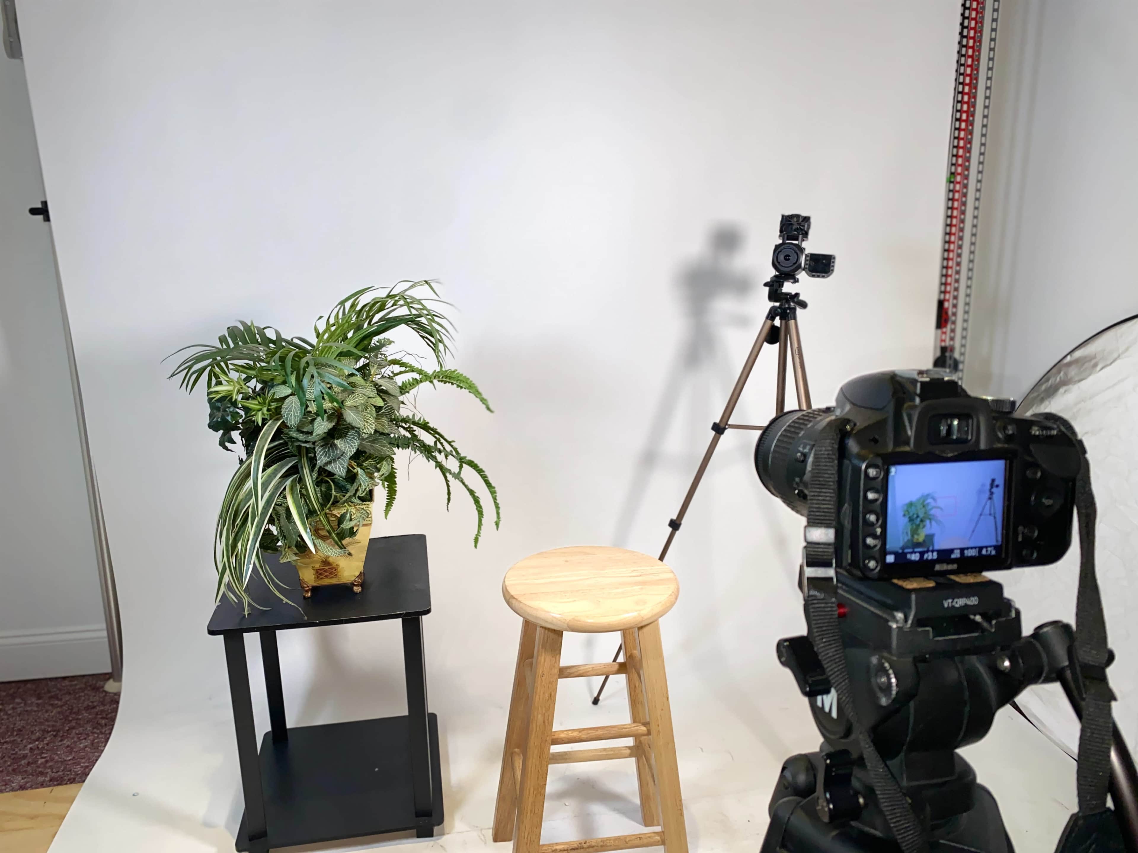 A camera is positioned in front of a potted plant on a black table, with a wooden stool and a tripod set up nearby against a white backdrop.