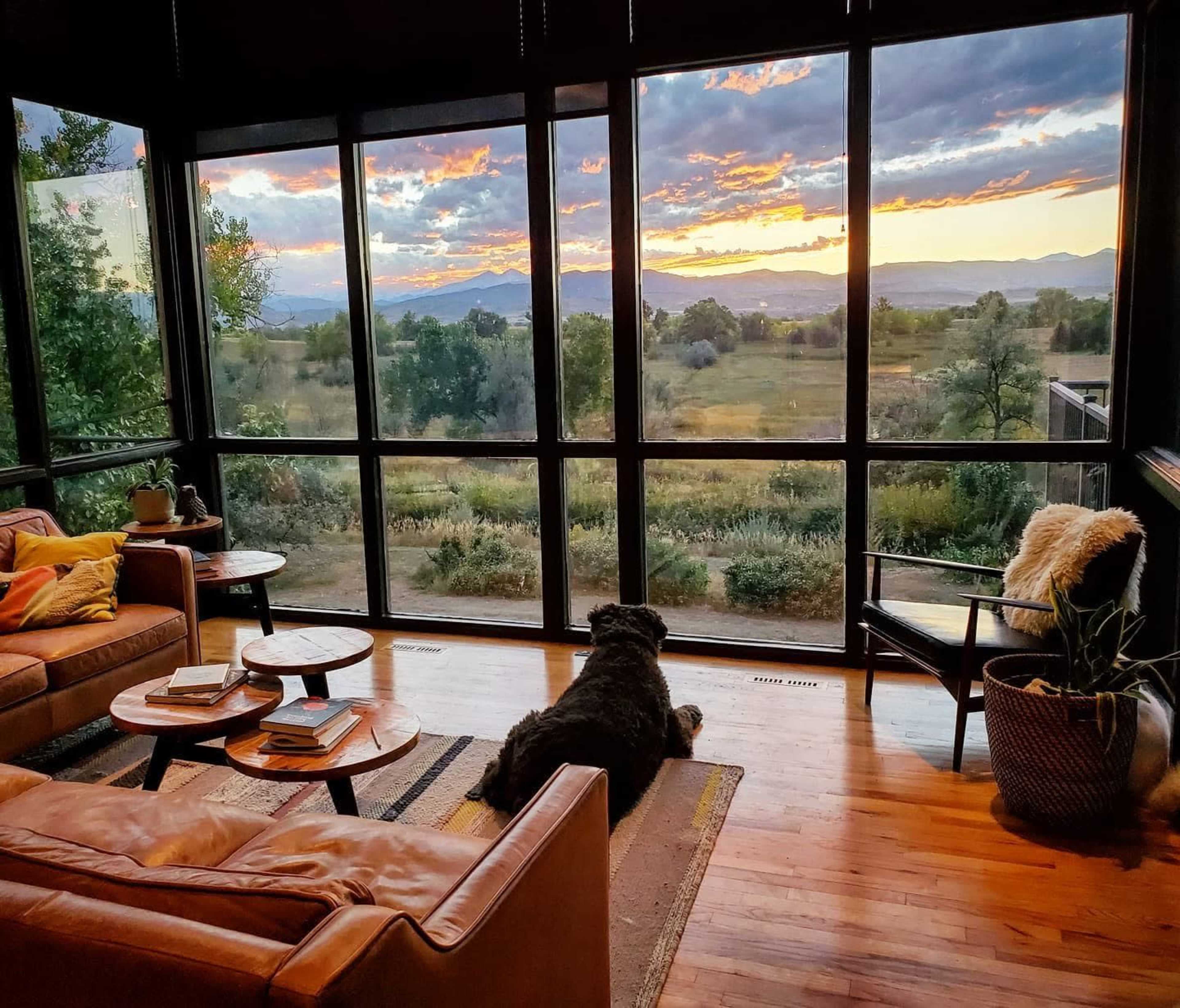Glass and wood, MCM home, with exceptional mountain views Image in Campion, Loveland, CO