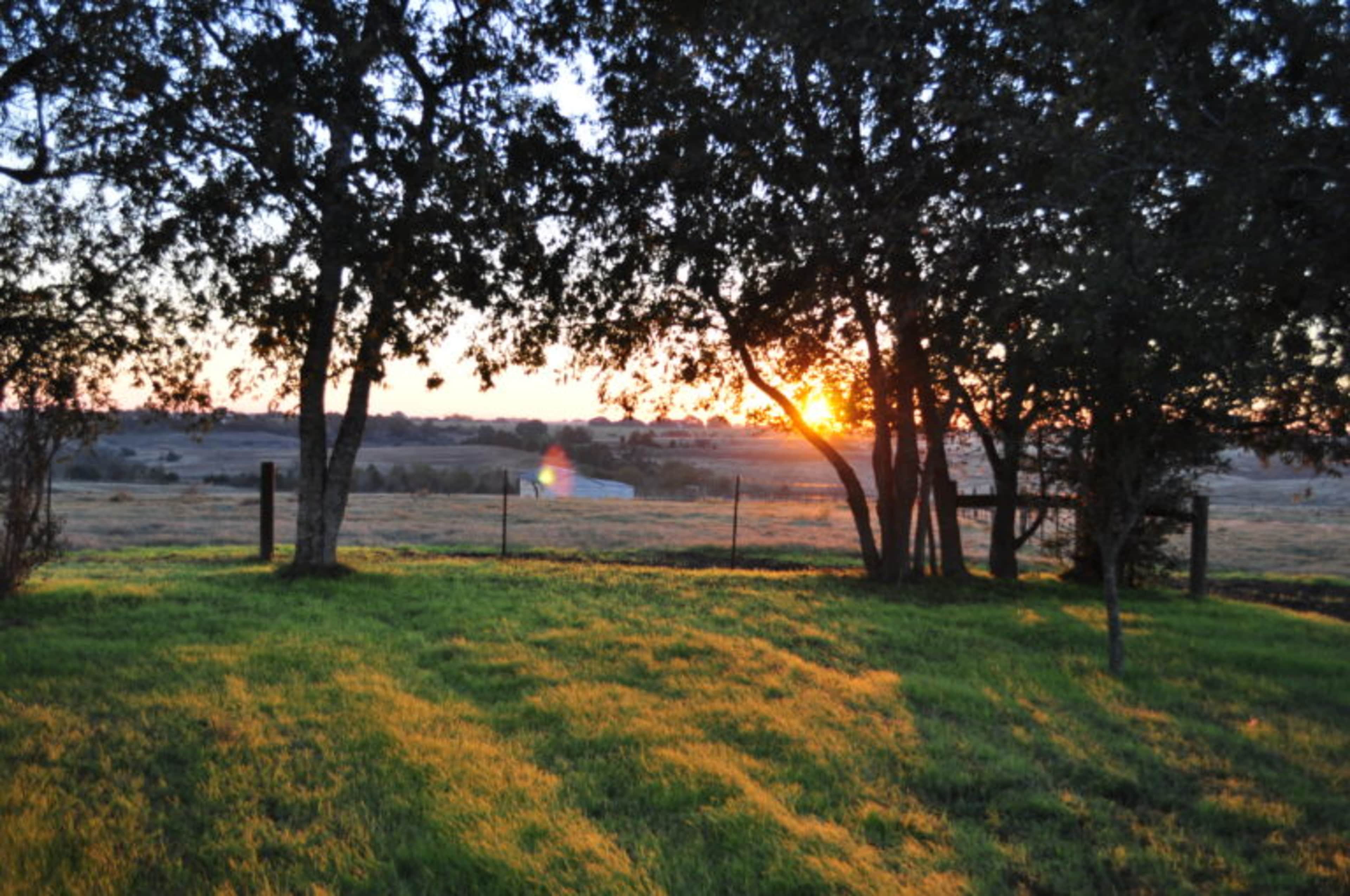 The image shows a sun setting behind trees in a grassy field with a fence line in the background.