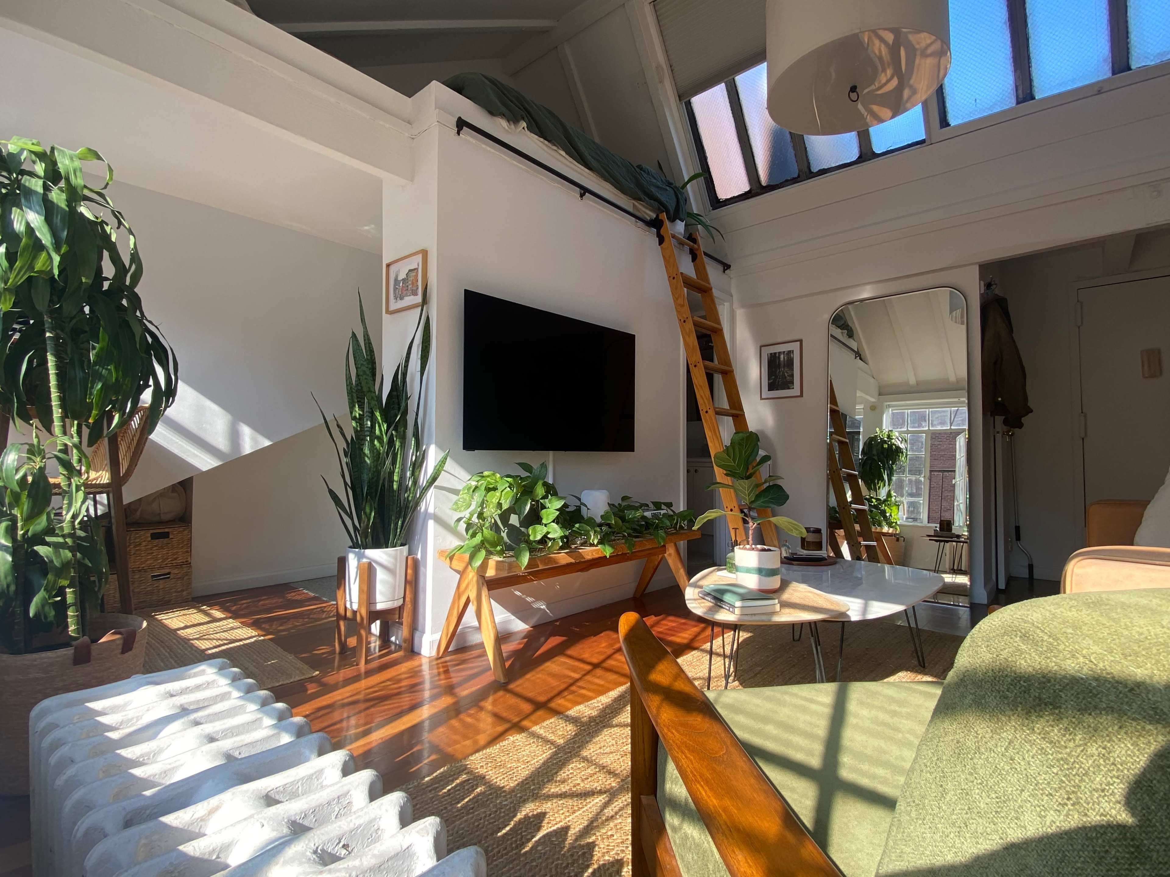 The image shows a bright living room with a wooden ladder leading to a loft, surrounded by various plants and a large television mounted on the wall.