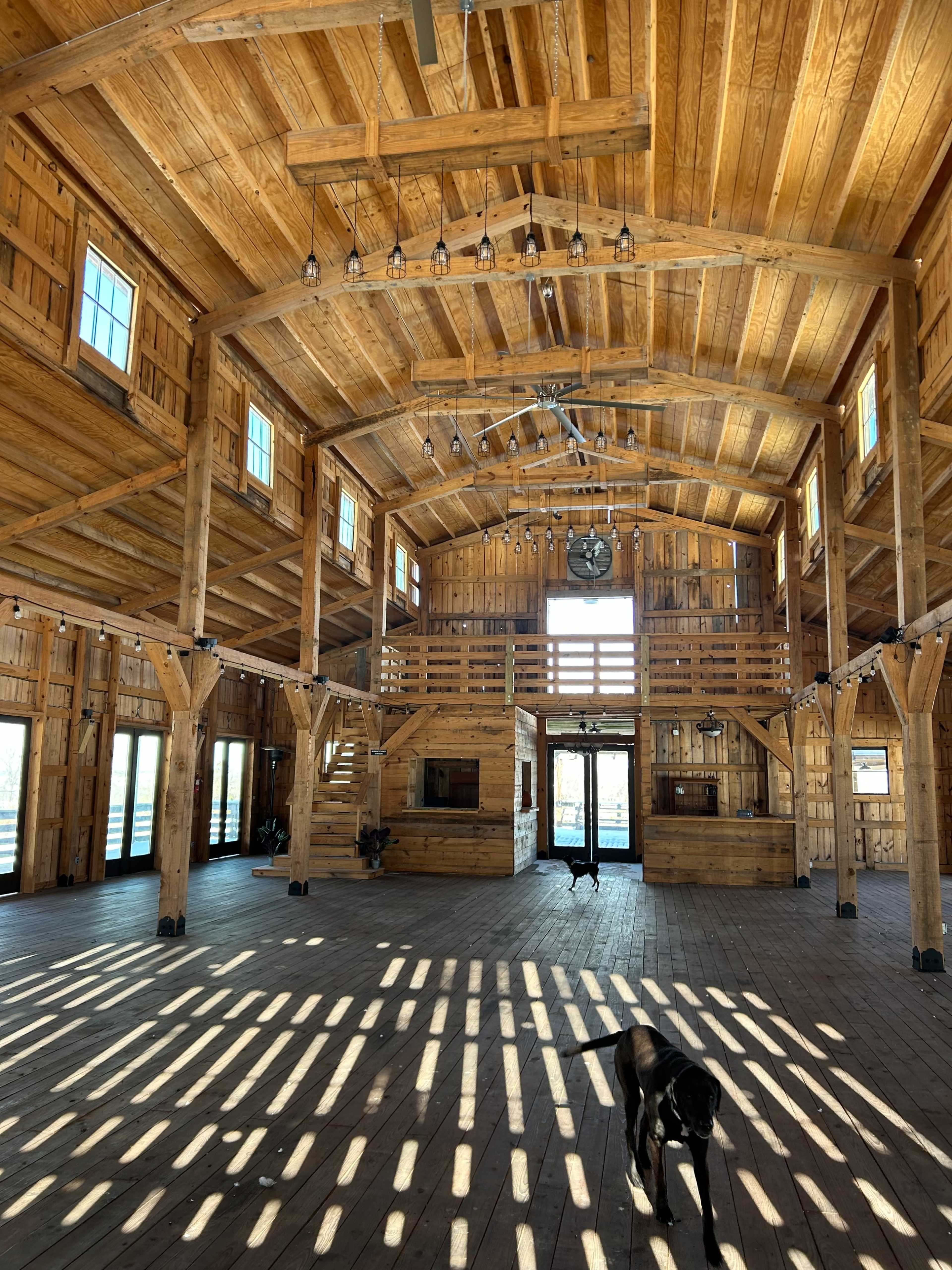 A large wooden barn interior features high ceilings, multiple windows, and a dog walking across the sunlit floor.