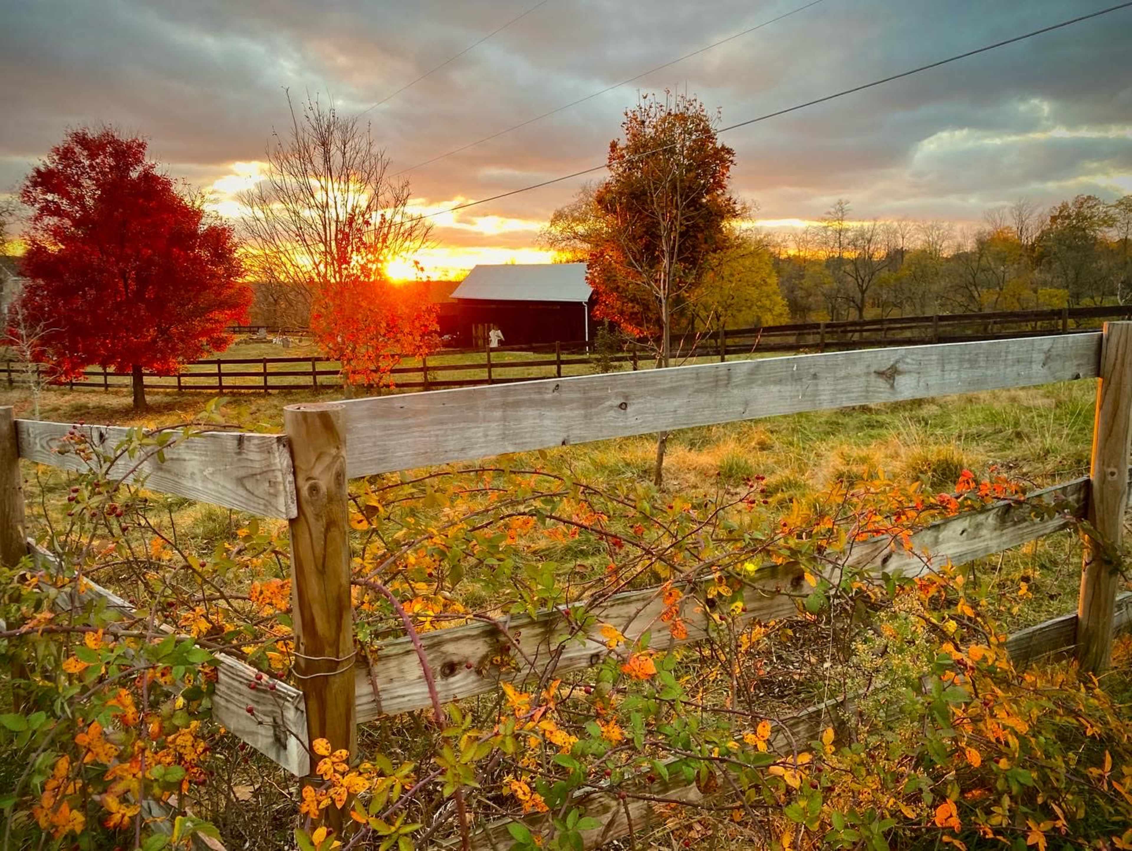 A wooden fence in the foreground with autumn foliage and a barn in the background, as the sun sets behind rolling hills.