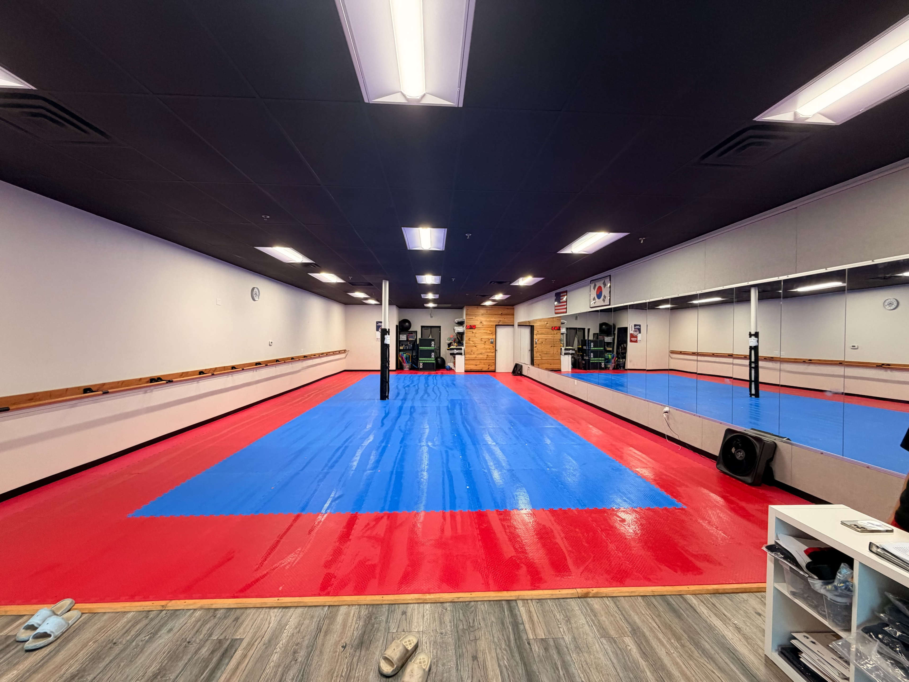 The image shows a martial arts studio with red and blue mats, a mirrored wall, and various training equipment lined against the back.
