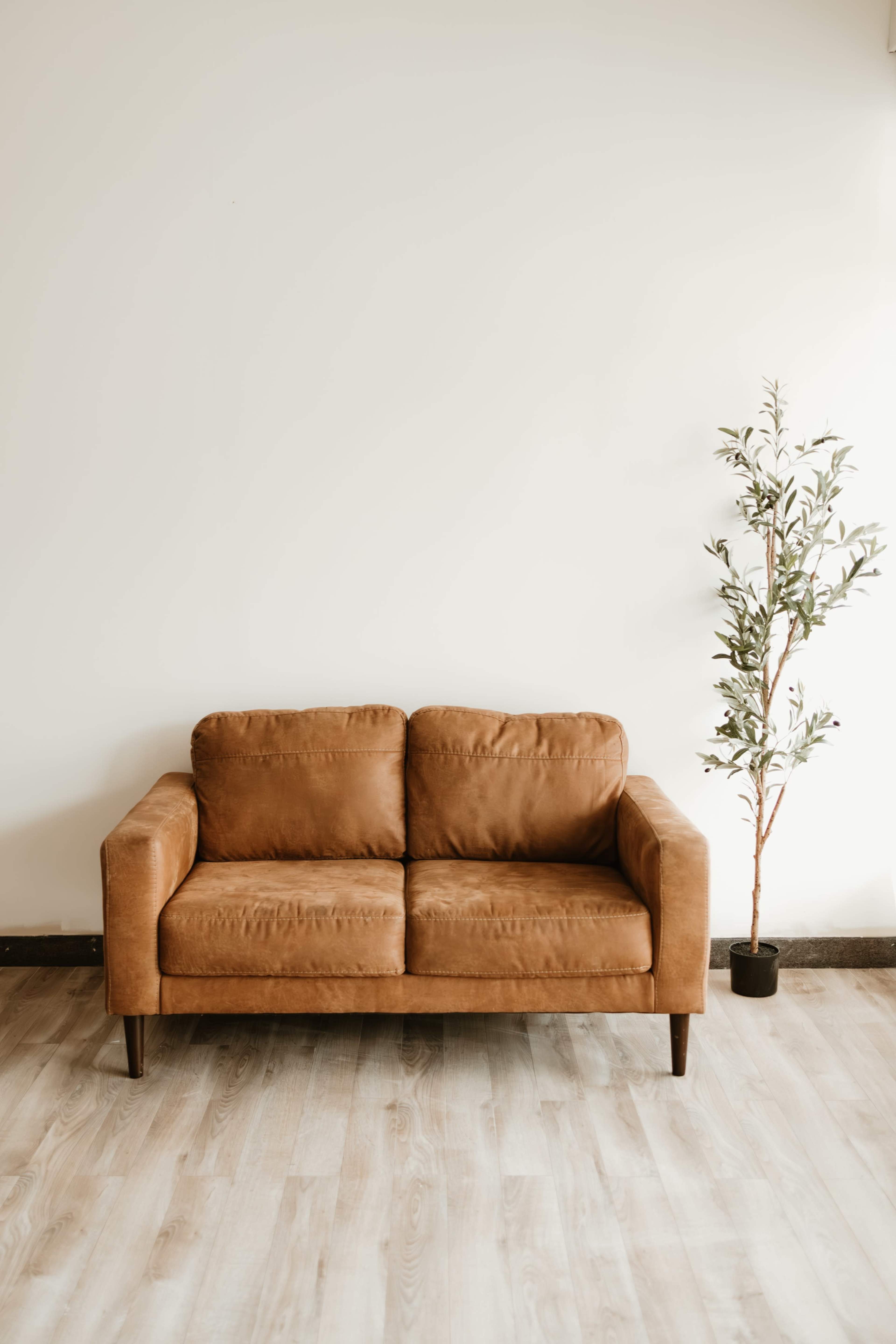 A brown leather couch is positioned against a plain white wall, beside a small potted plant.