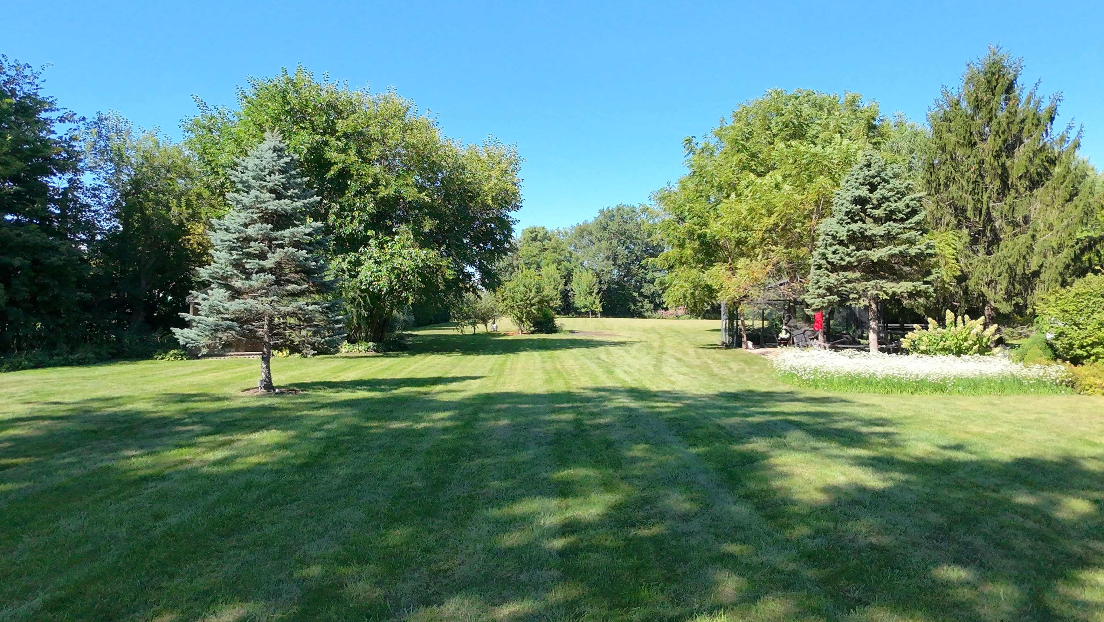 A grassy field stretches between trees and shrubs under a clear blue sky.