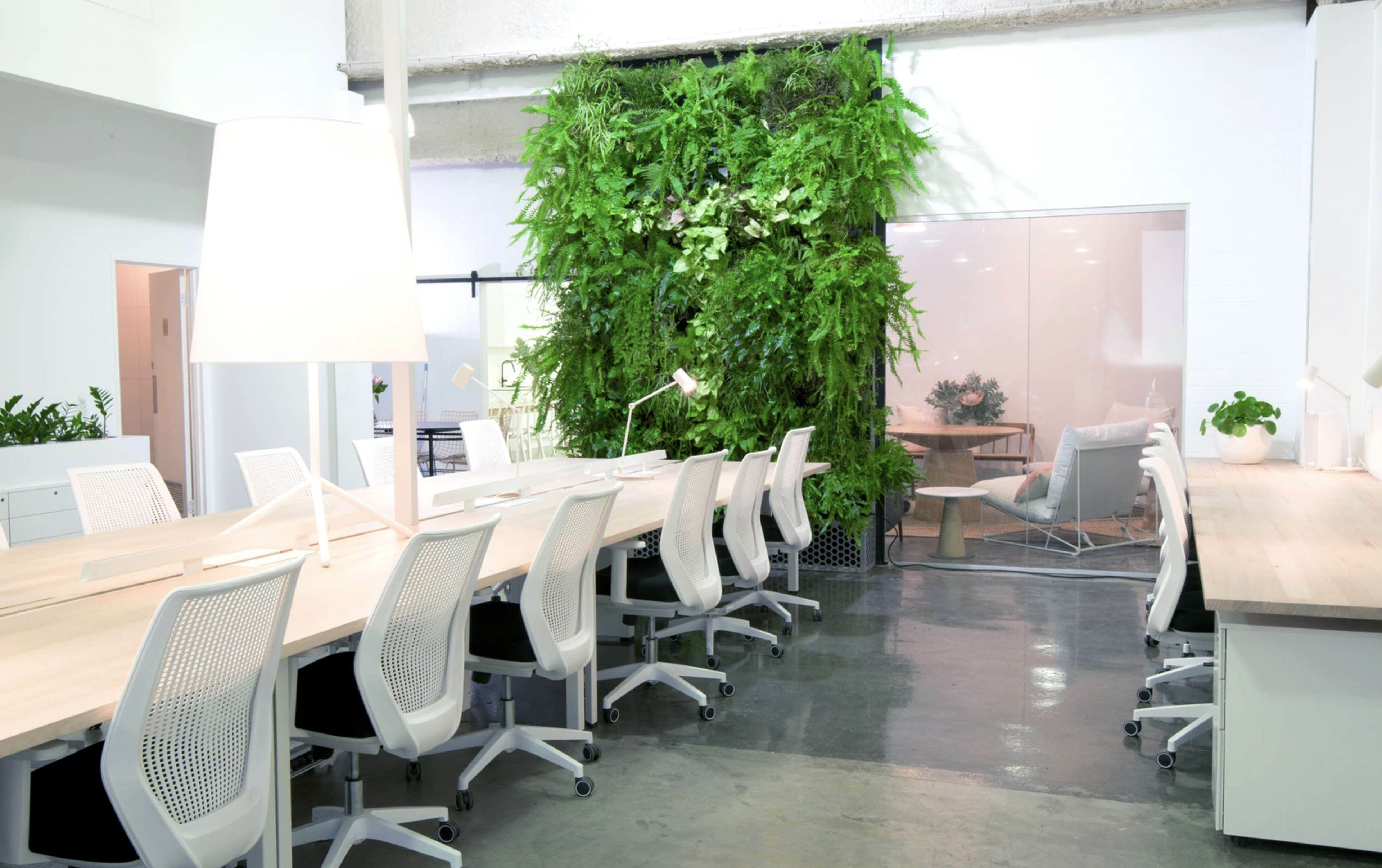 A modern office space with a long wooden table surrounded by white office chairs and a vertical garden in the background.