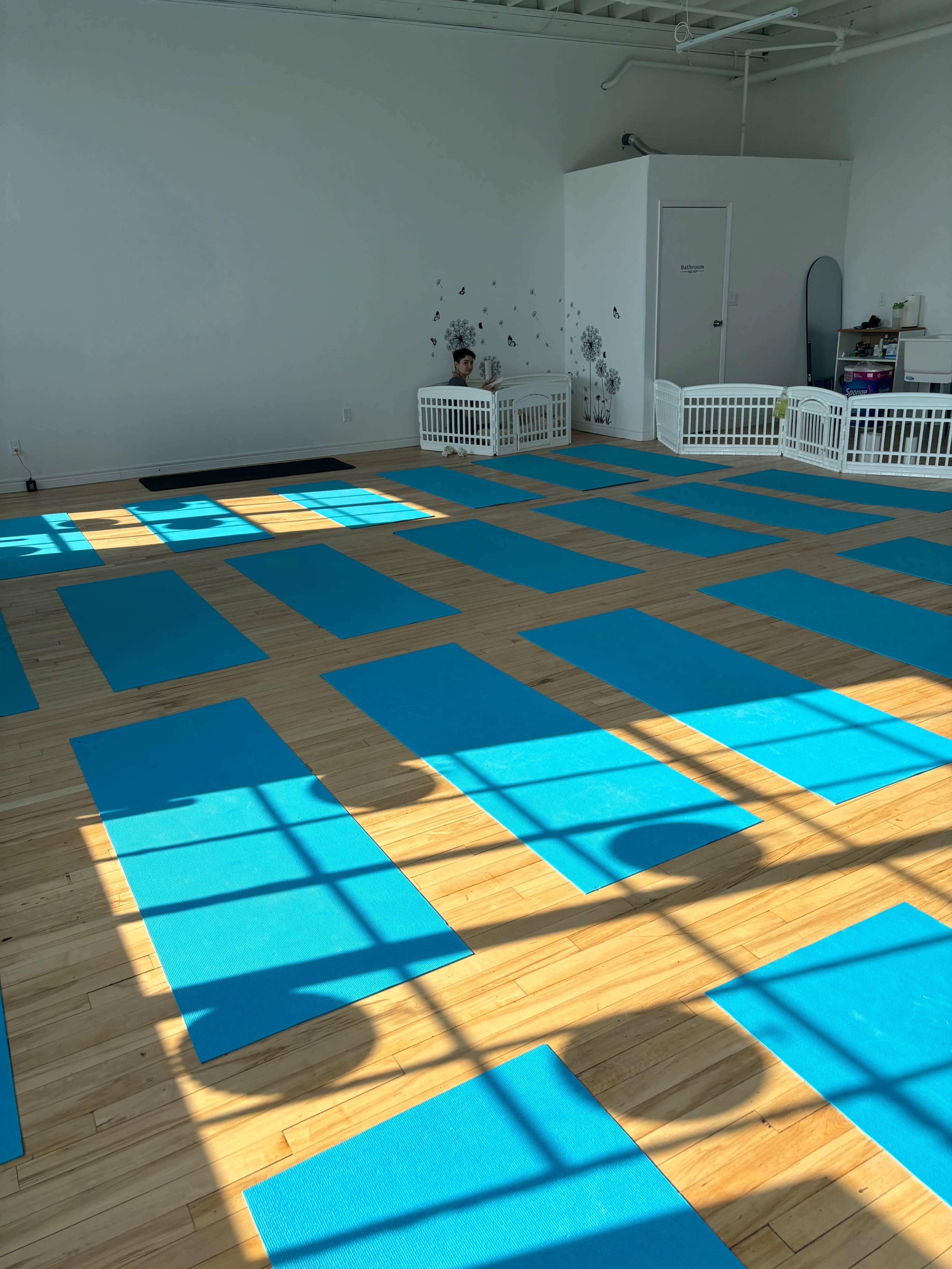A yoga studio with several blue mats arranged on a wooden floor, illuminated by sunlight streaming through large windows.