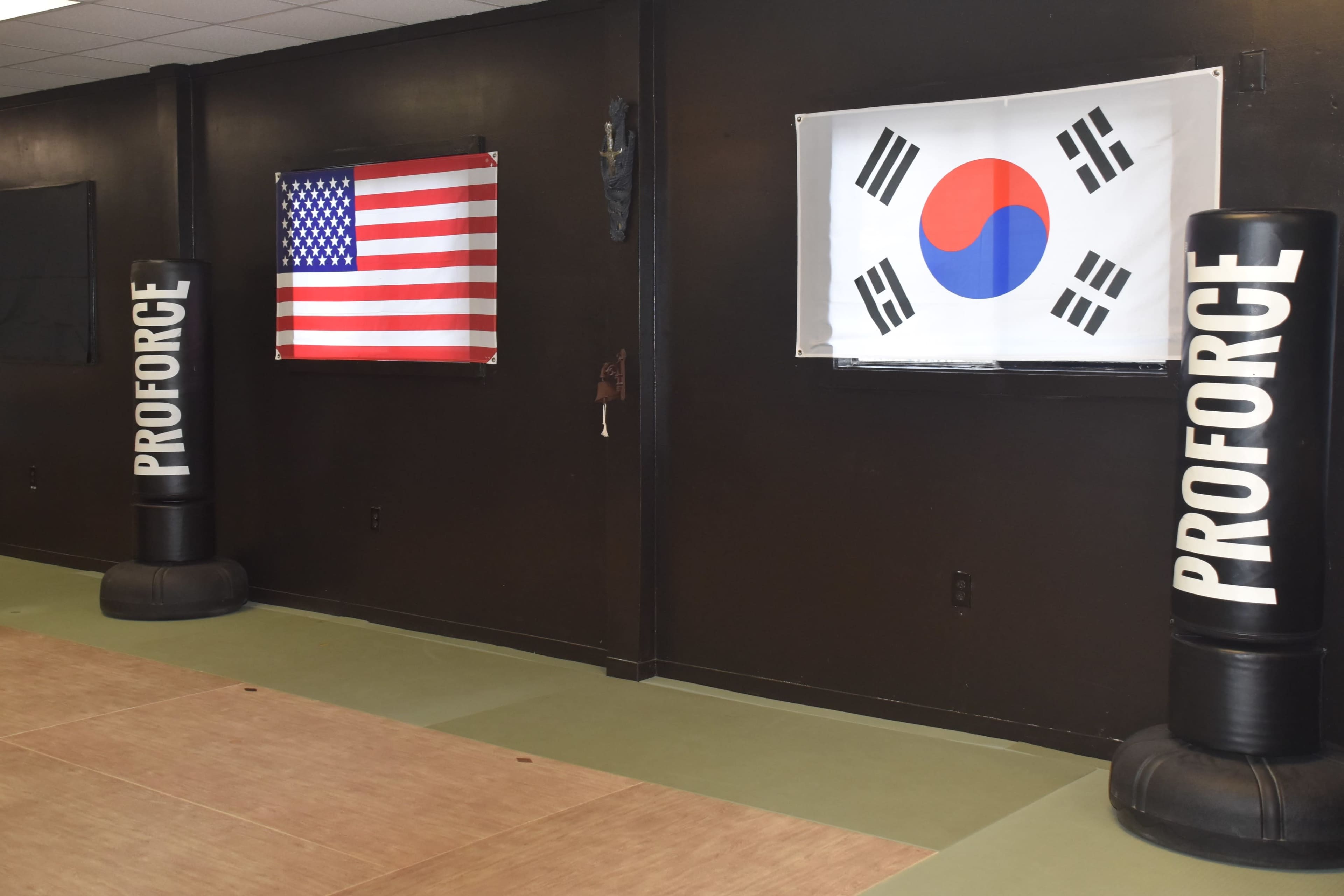 A training space with two ProForce training bags flanking a South Korean flag and an American flag on a black wall.