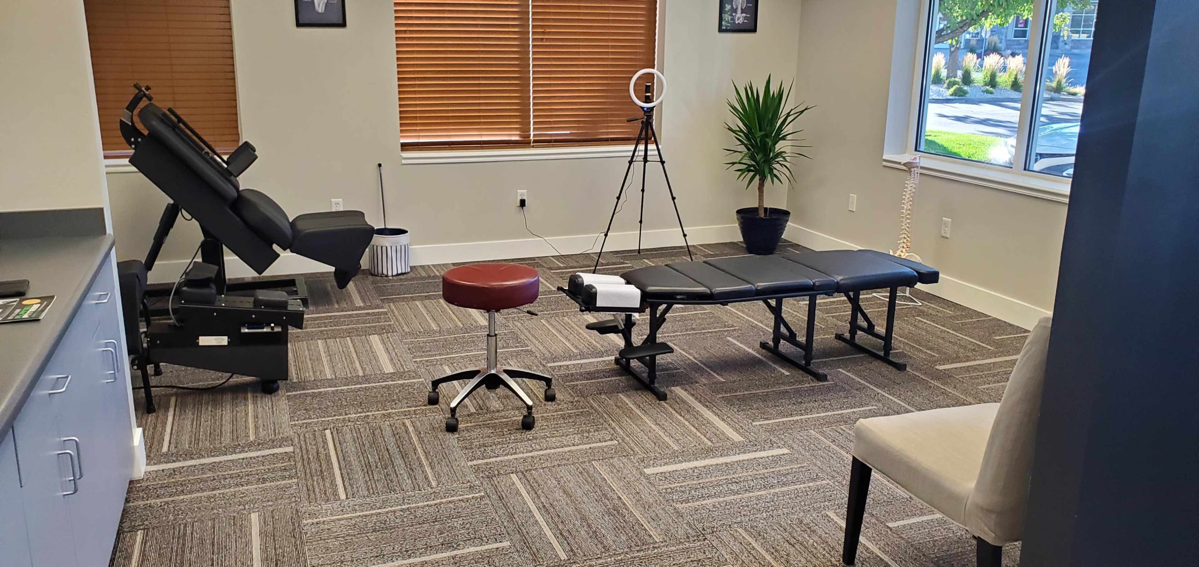 A therapy or treatment room featuring an adjustable treatment table, a rolling stool, a palm plant, and a ring light set up for video.