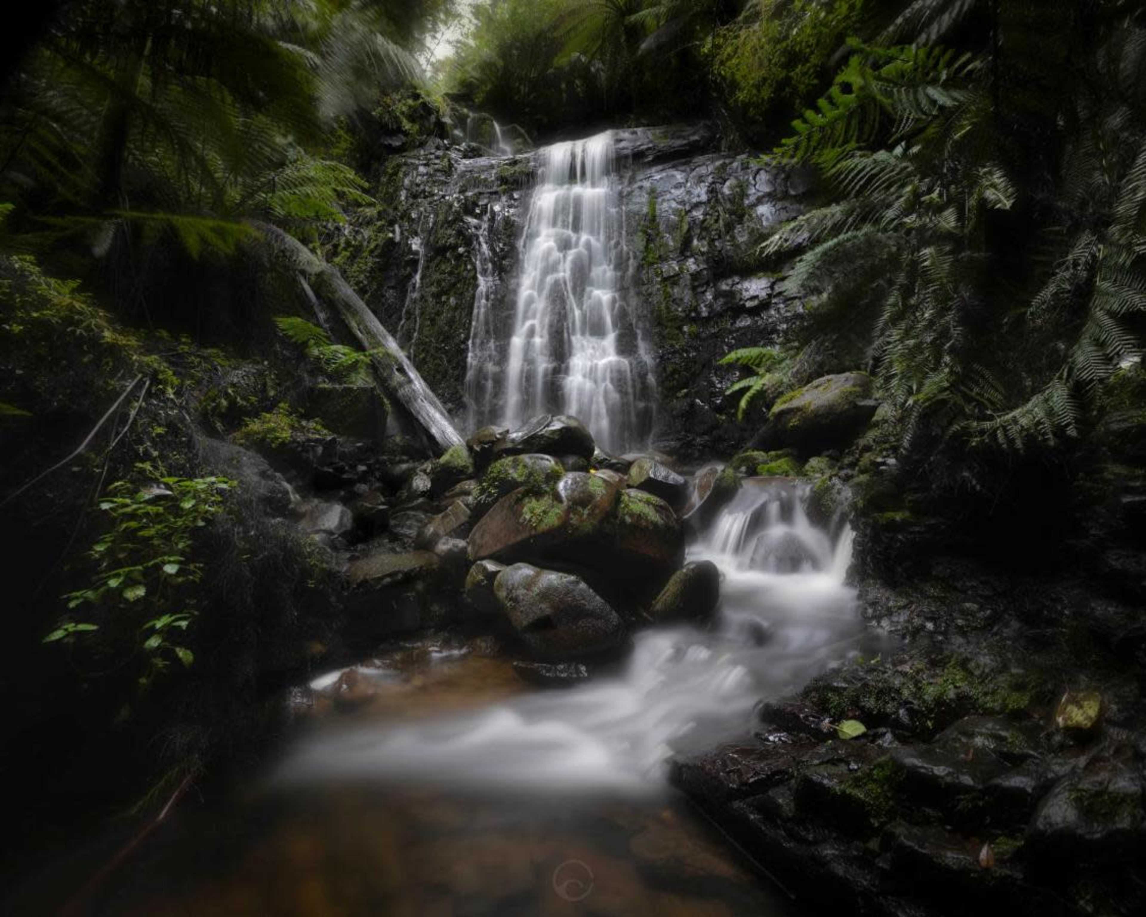 A waterfall cascades over rocks into a serene pool surrounded by lush greenery.