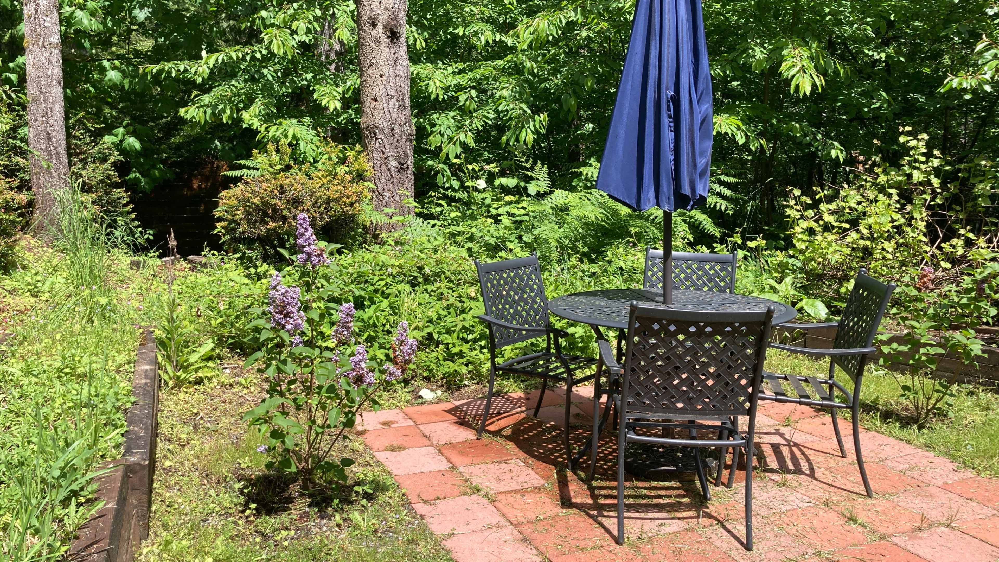 Forest Cathedral Rustic Creative Studio Image in , Port Orchard, WA