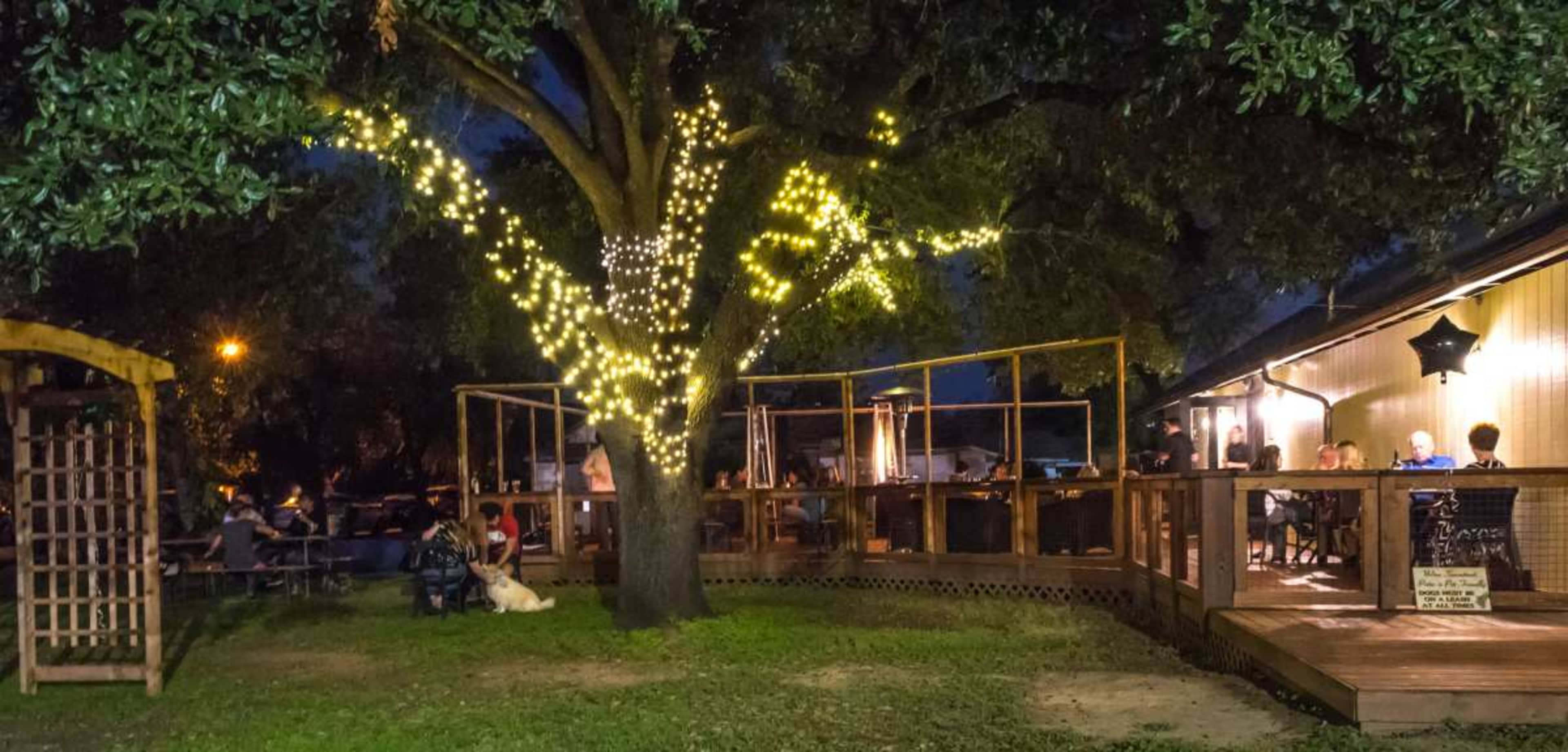 Beautiful European Style Wine & Tapas Bar Image in Georgetown, Georgetown, TX