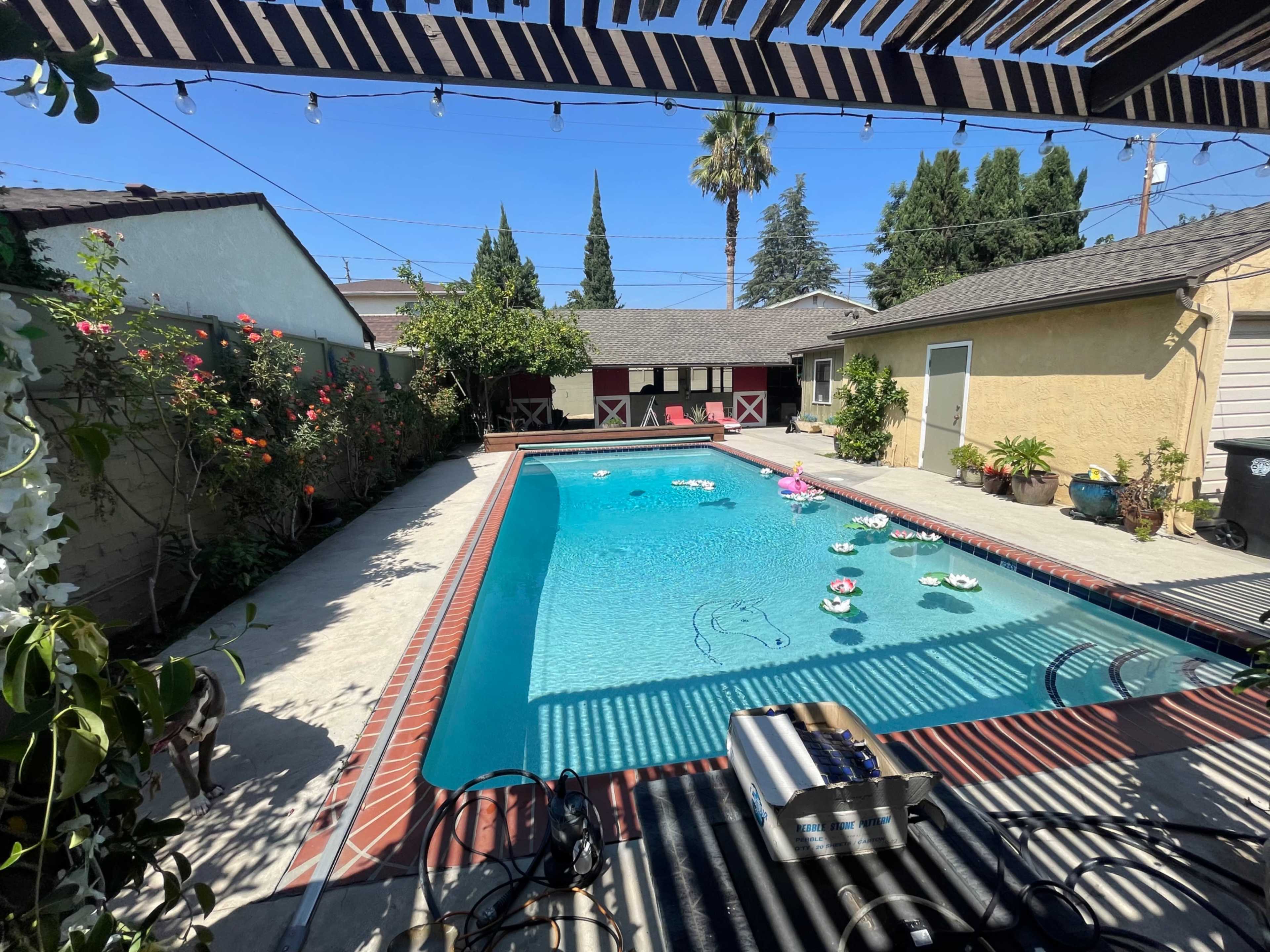 The image shows a spacious backyard with a swimming pool surrounded by plants, a patio area, and a garage in the background.