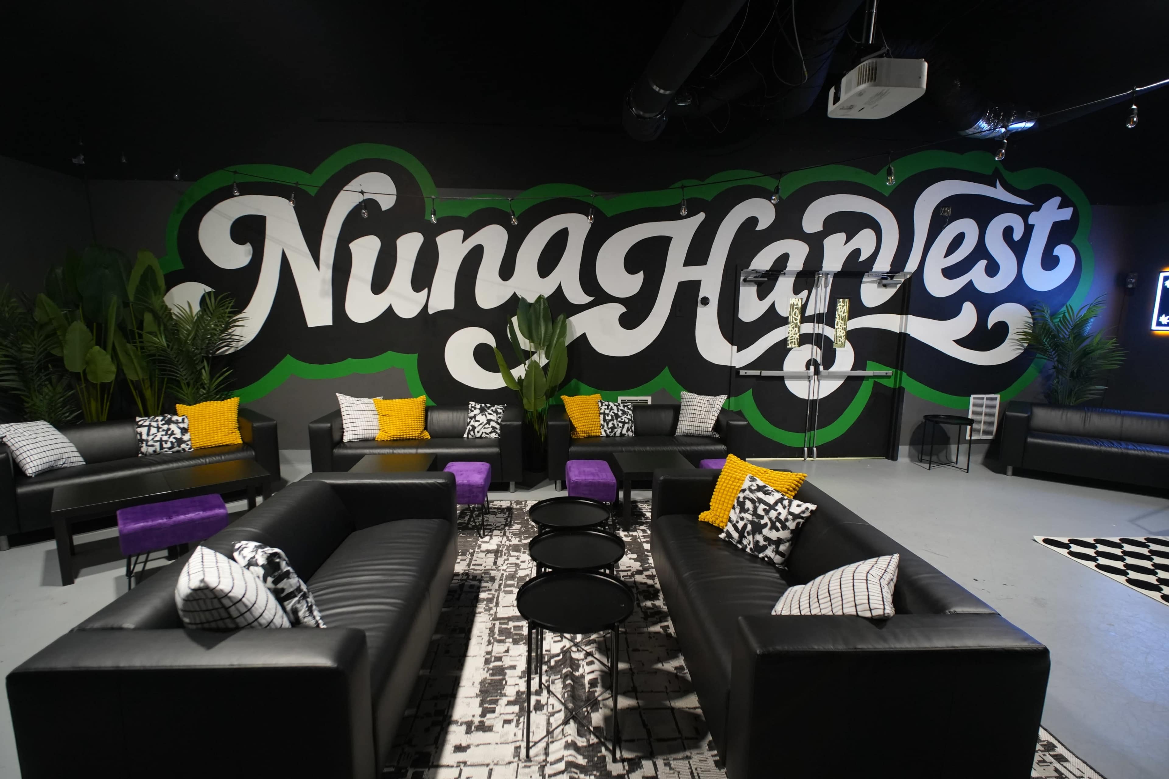 The image shows a modern lounge area featuring black sofas, vibrant throw pillows, a patterned rug, and a large mural with the words "Nuna Harvest" on the wall.
