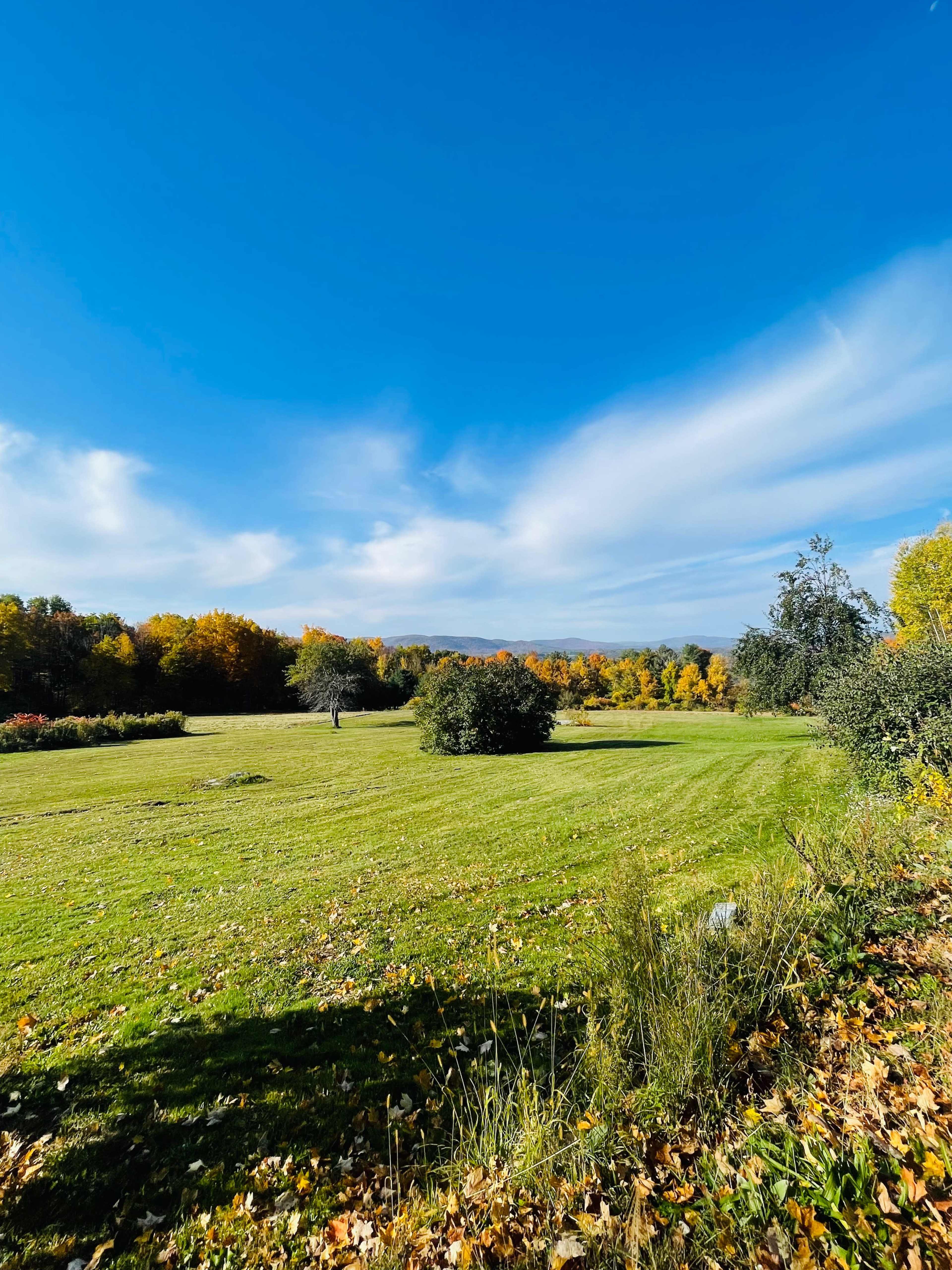 A grassy field surrounded by trees with autumn foliage under a blue sky.
