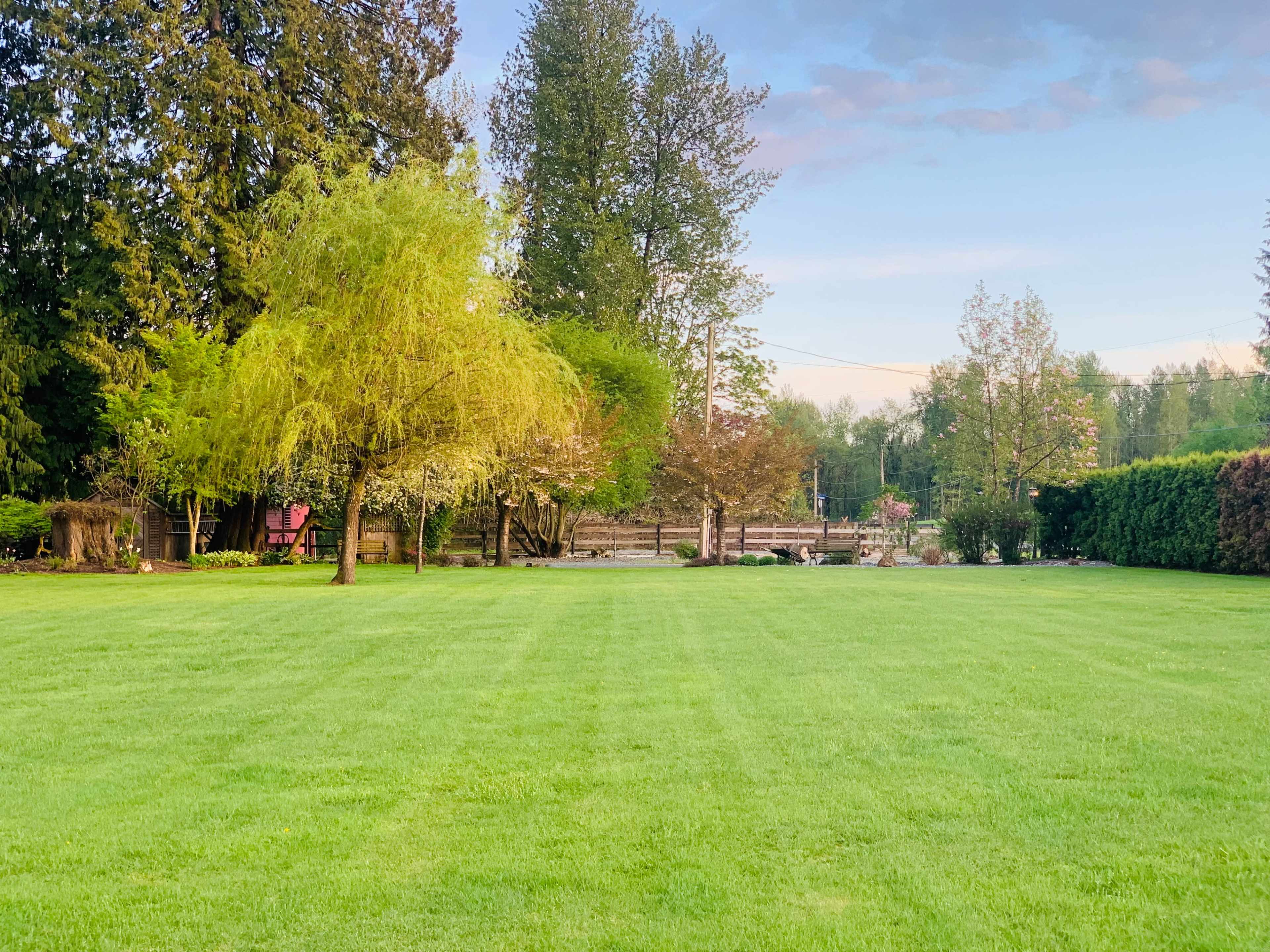 A well-maintained grassy lawn features several trees and shrubs in a peaceful outdoor setting.