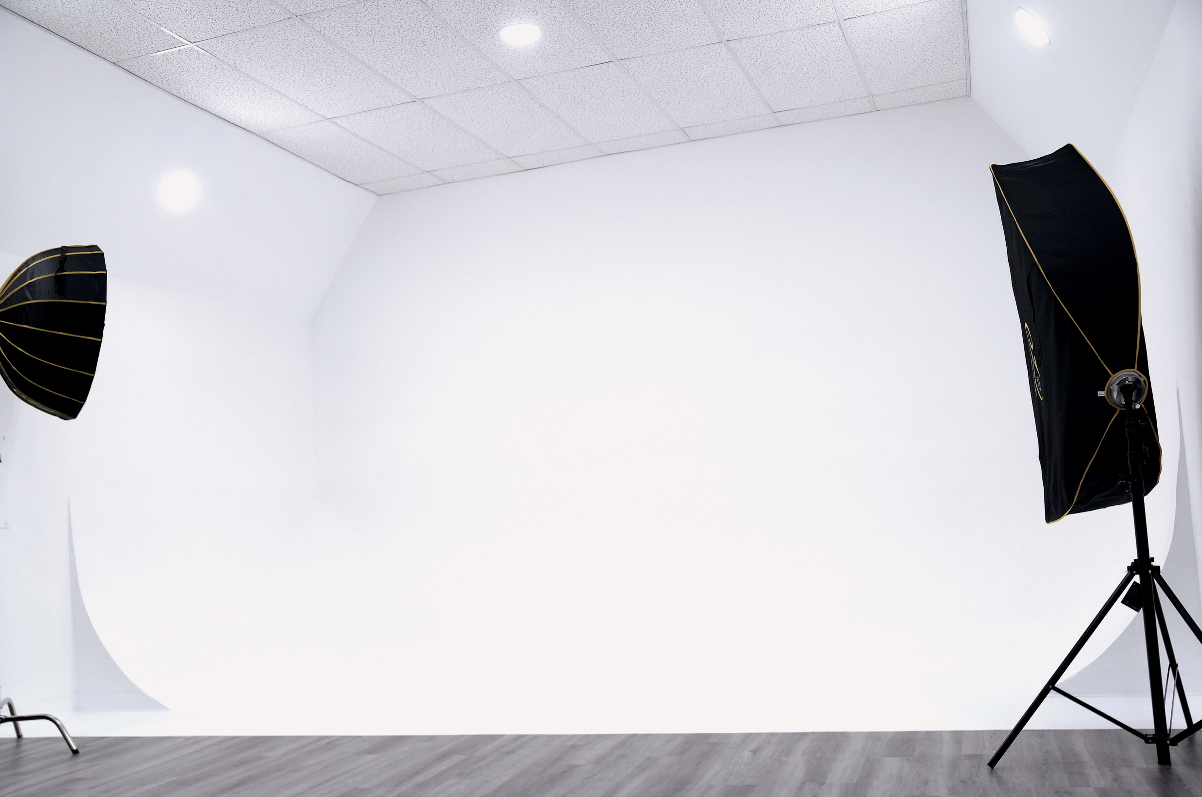 The image shows a photography studio with two softbox lights positioned on either side of a seamless white backdrop.