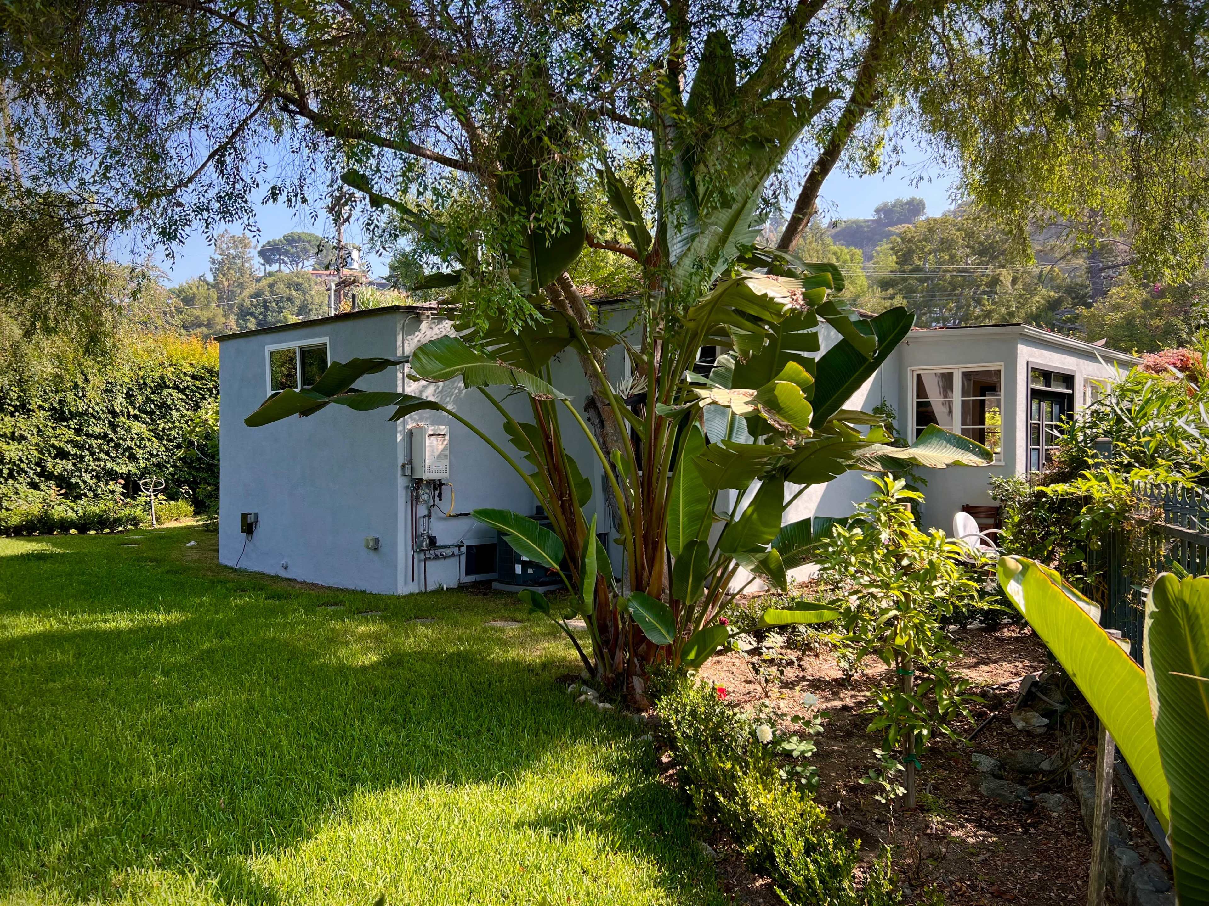A modest house with a blue exterior is surrounded by lush green grass and tropical plants under a clear sky.