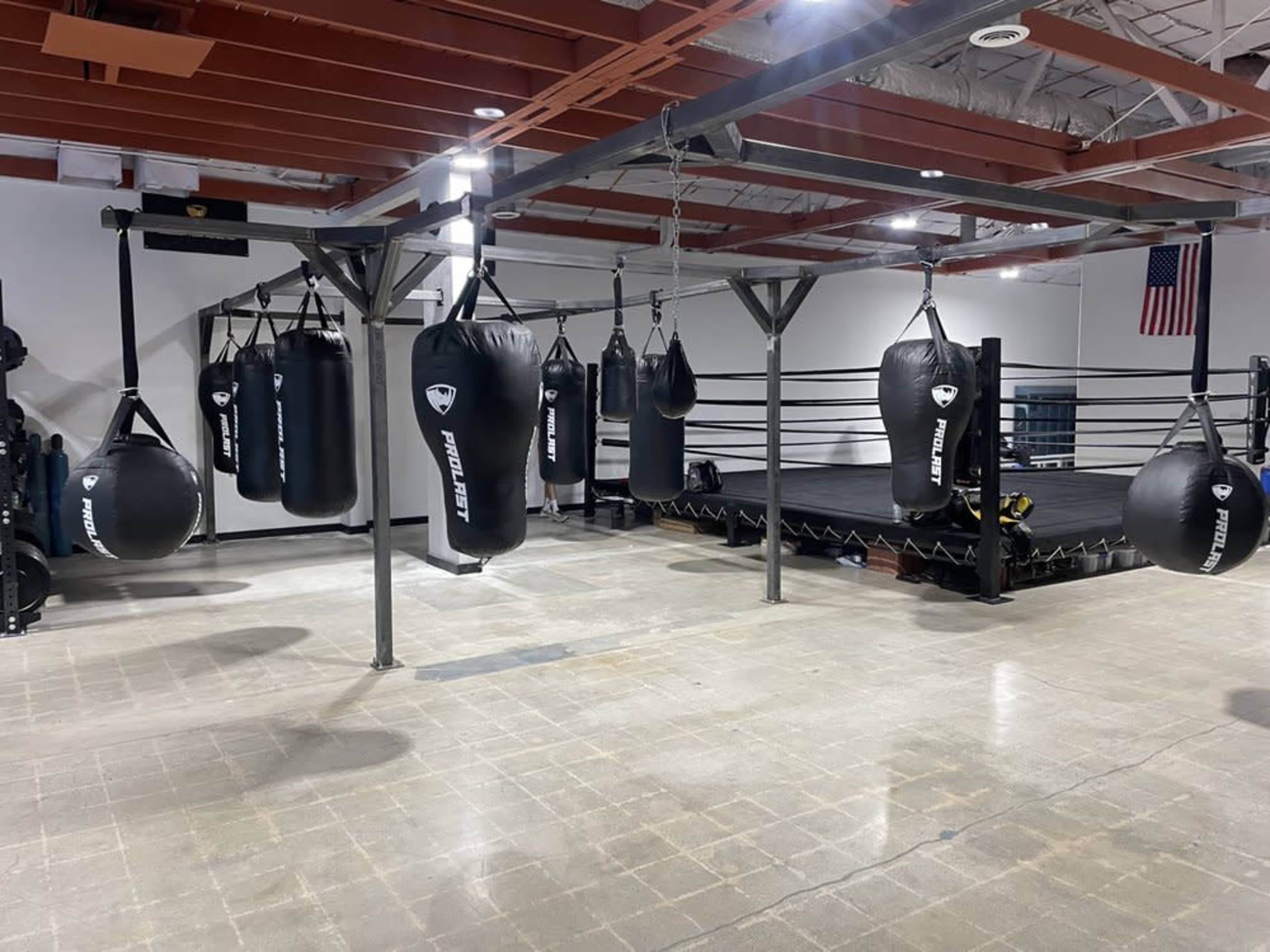 A spacious boxing gym with multiple hanging punching bags and a boxing ring in the center.
