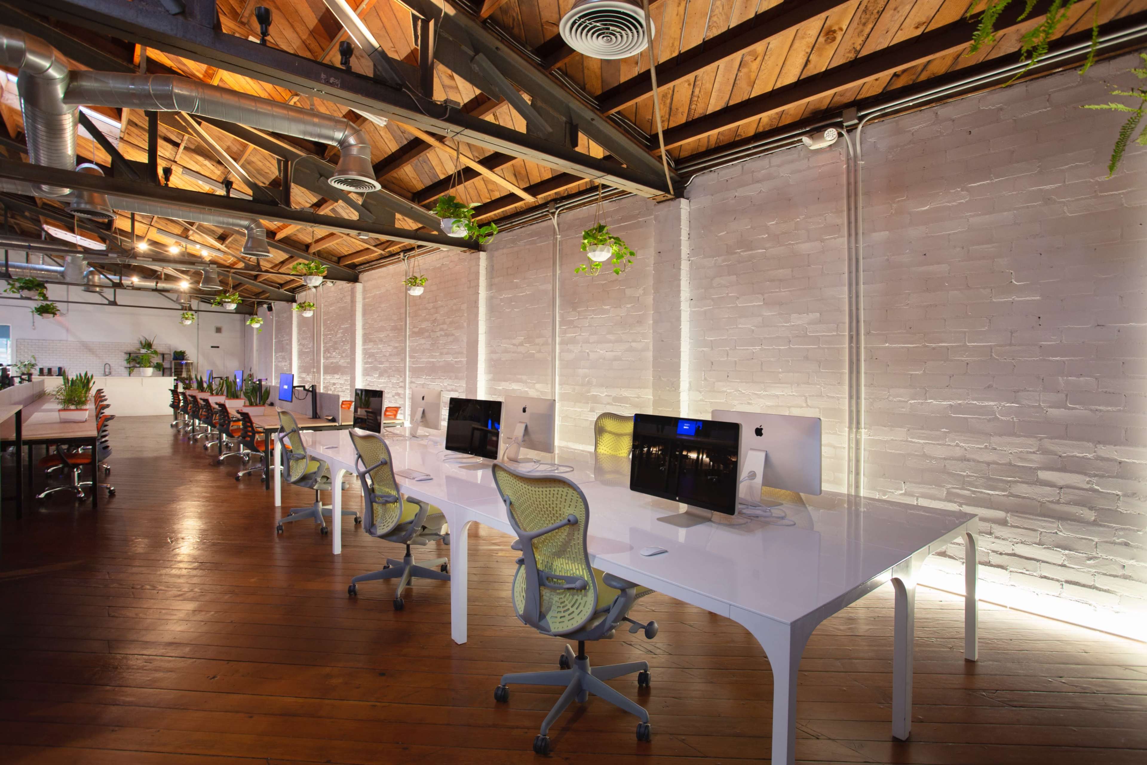 The image shows a modern office space with several workstations featuring white desks, computer monitors, and plants hanging from the ceiling.