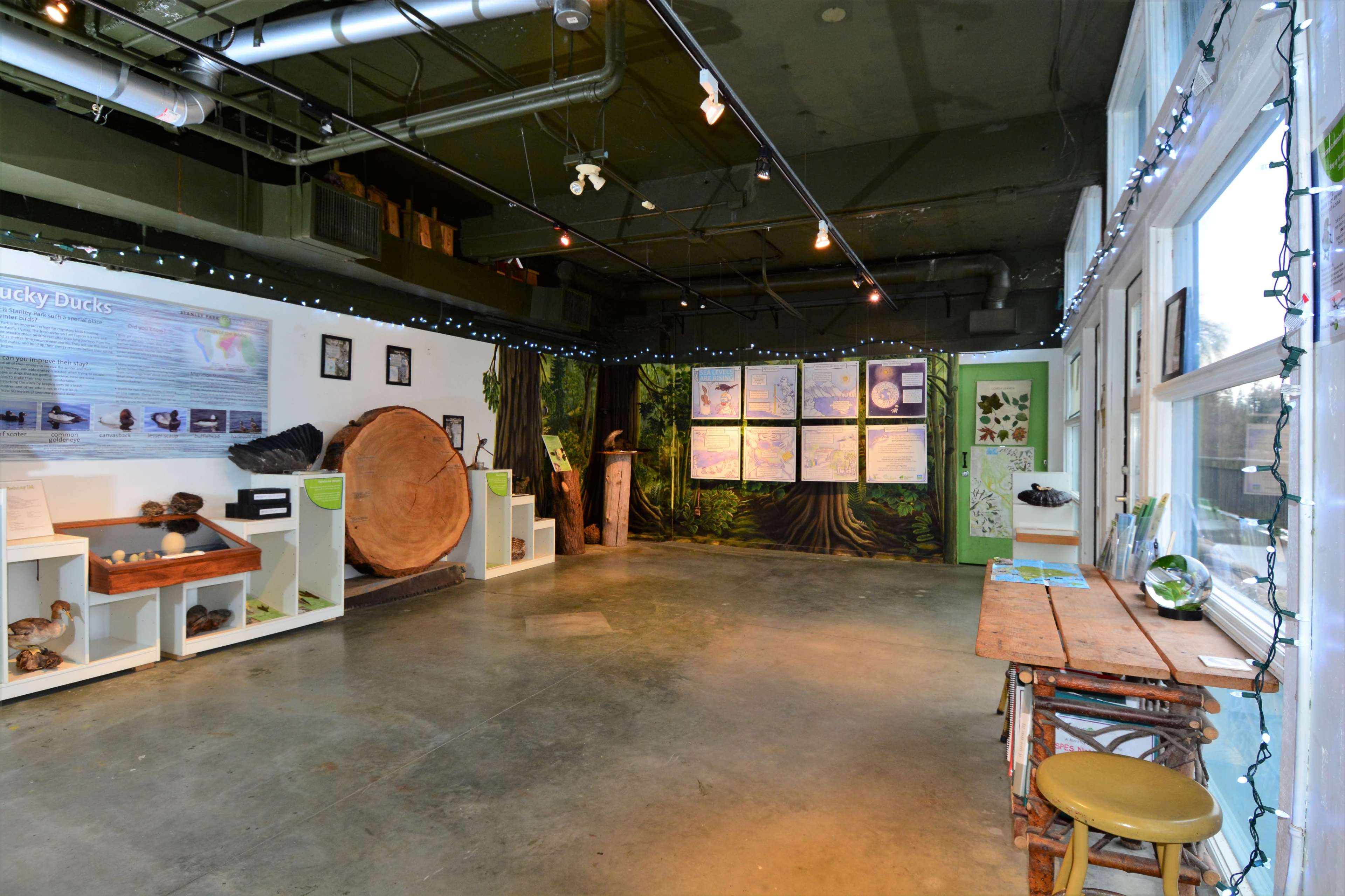 A spacious room featuring informational displays on the walls, a large wooden log centerpiece, and a table with a chair.