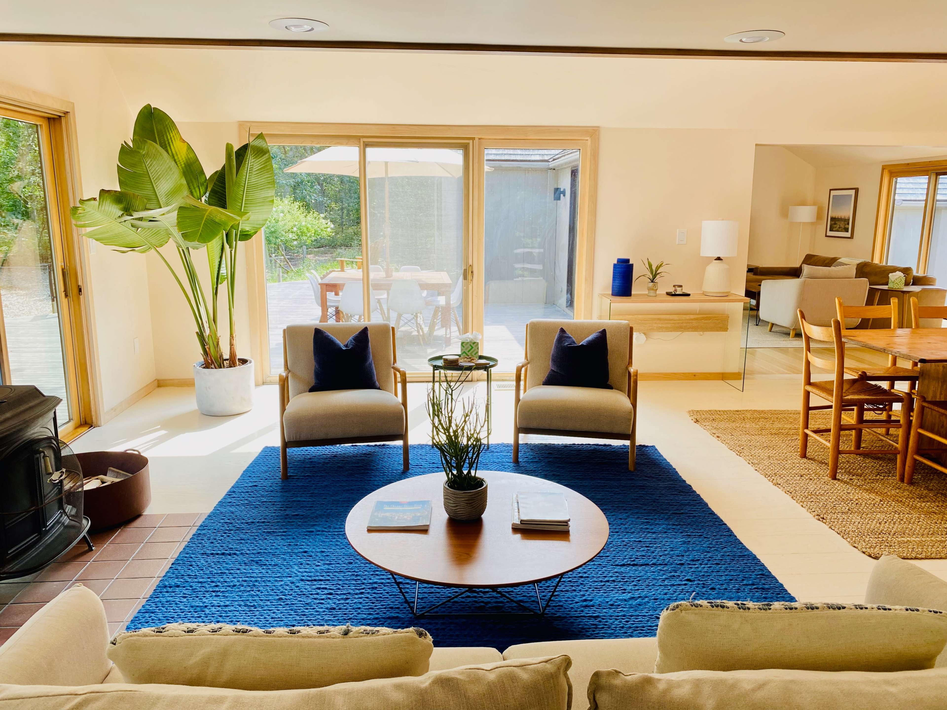 The living area features two chairs facing a low coffee table, surrounded by a large blue rug, with a potted plant in the corner and sliding glass doors leading to an outdoor space.