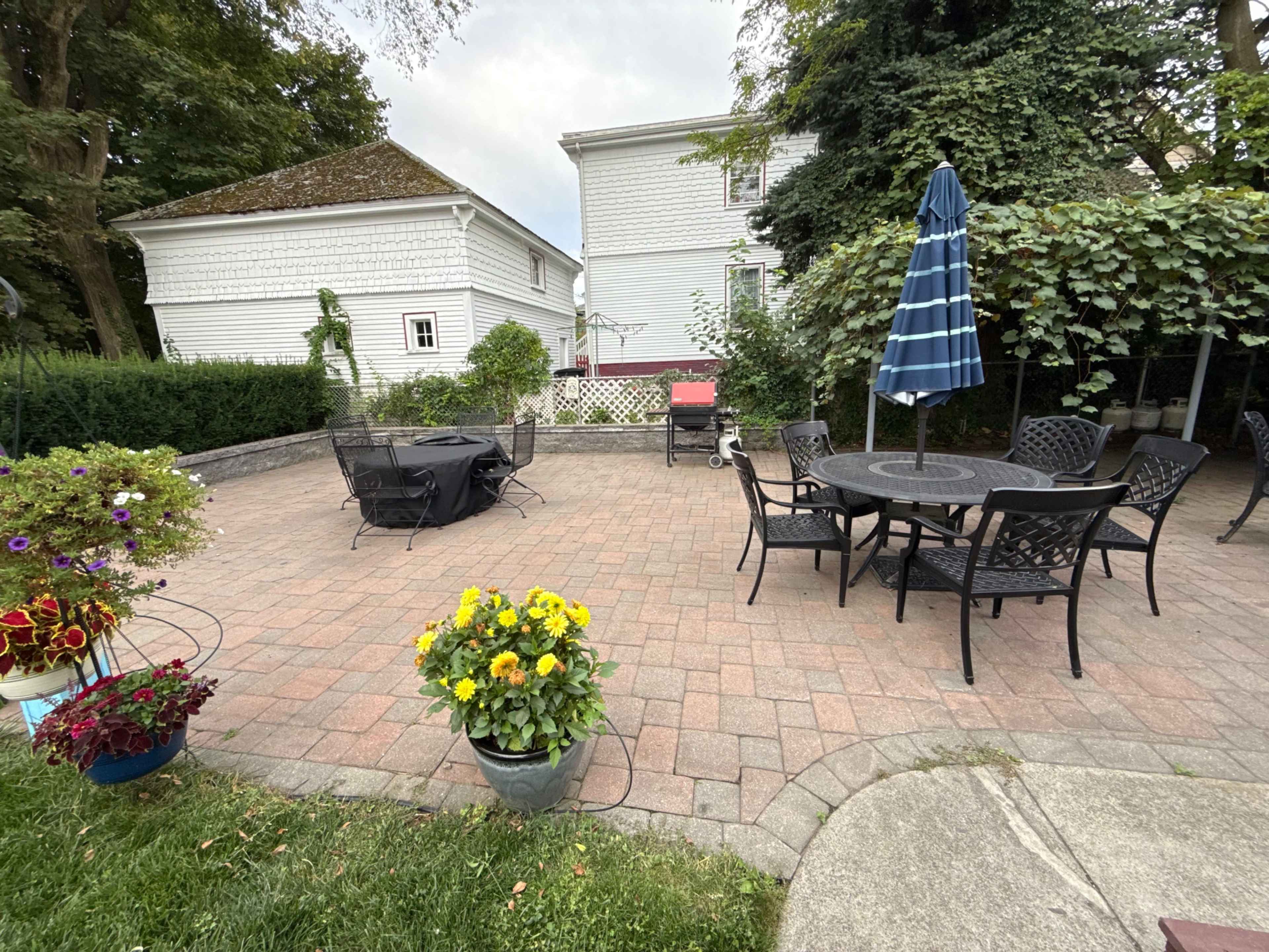 Expansive  Backyard & Patio in the City Image in West Somerville, Somerville, MA