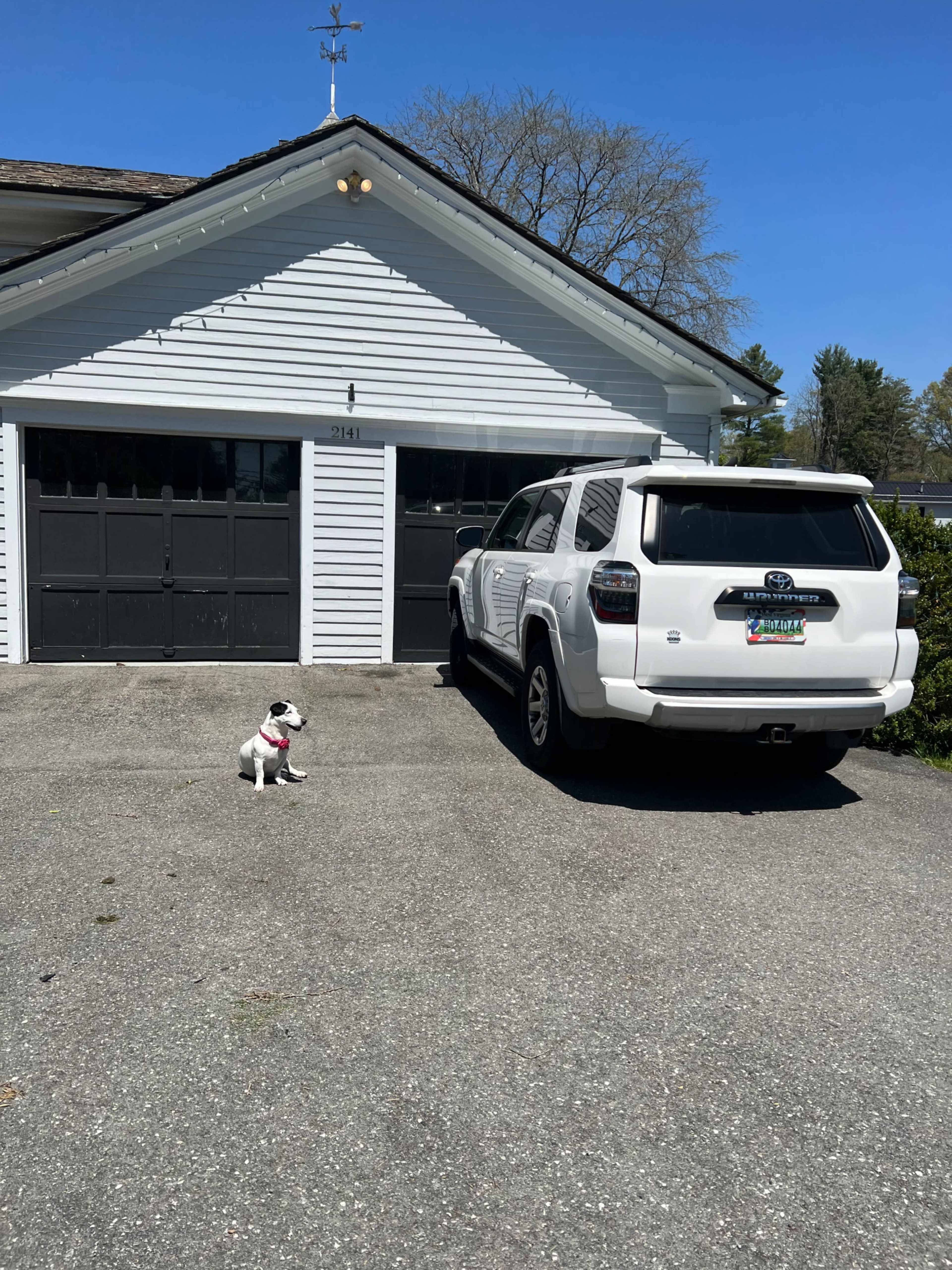 A white SUV is parked beside a small dog sitting on the pavement in front of a house with a white exterior and a two-car garage.