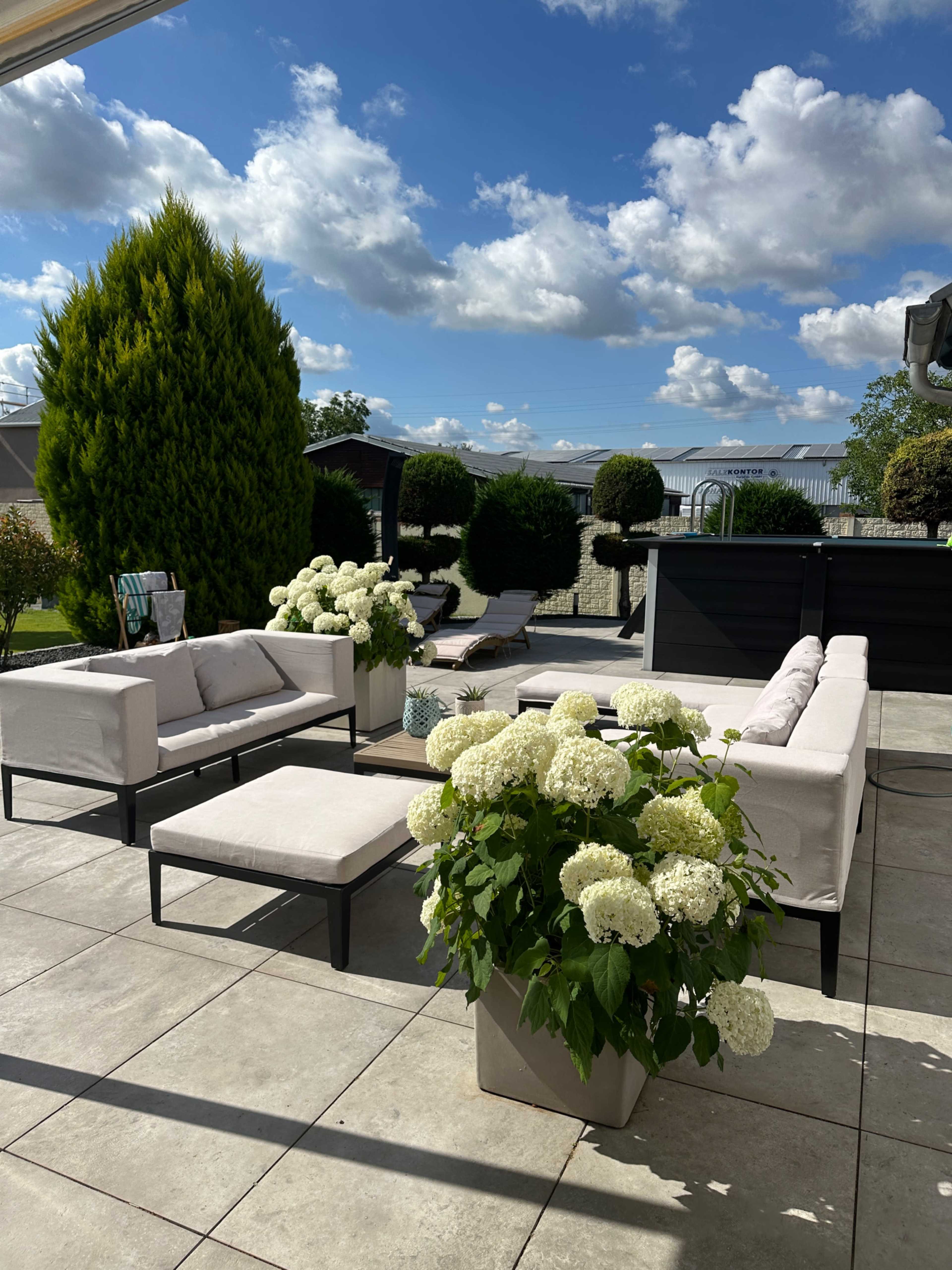 The image shows a landscaped outdoor seating area with modern furniture, potted hydrangeas, and a clear blue sky with fluffy clouds.