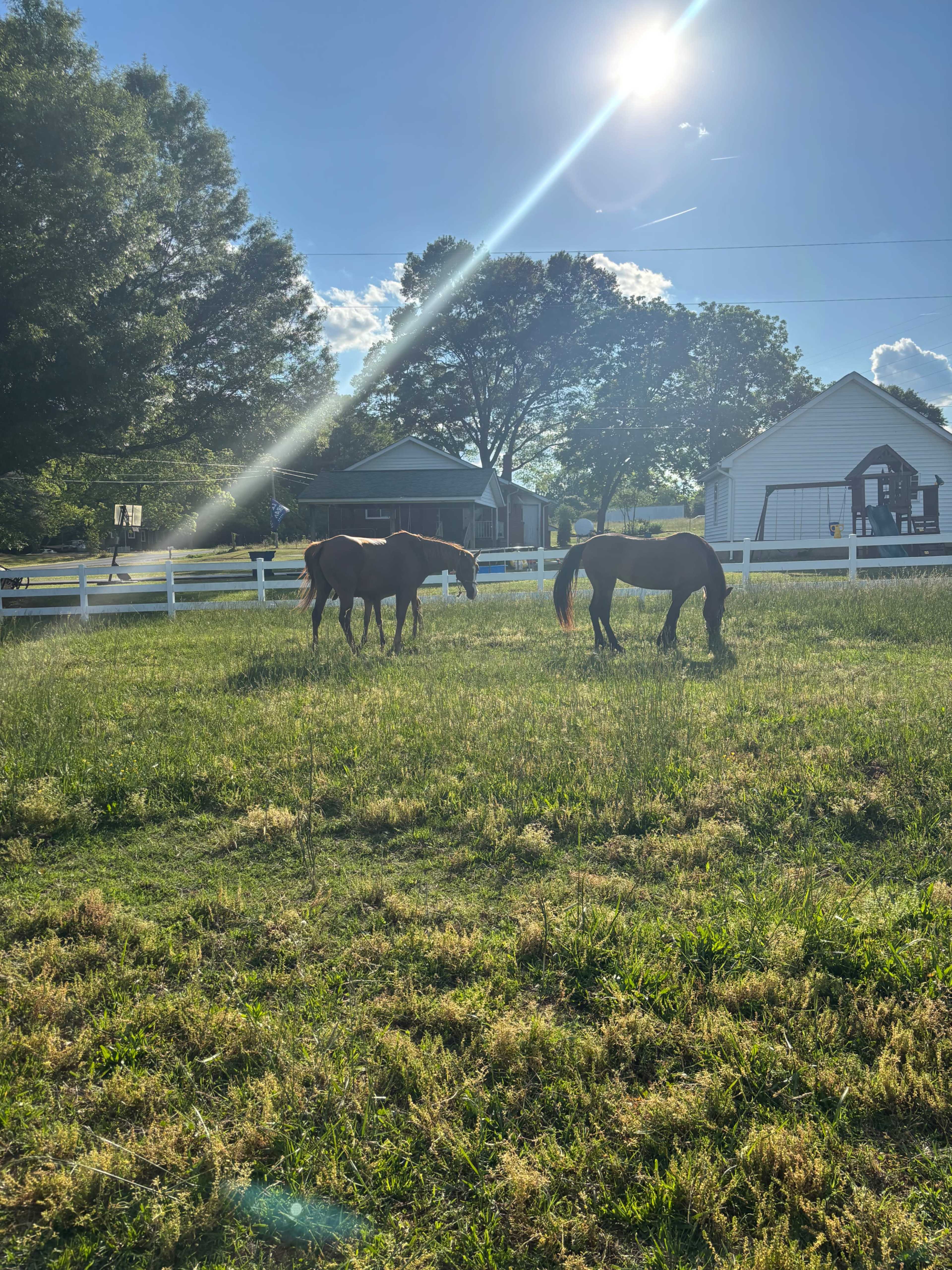 Experience luxury at the farm! Image in , Davidson, NC