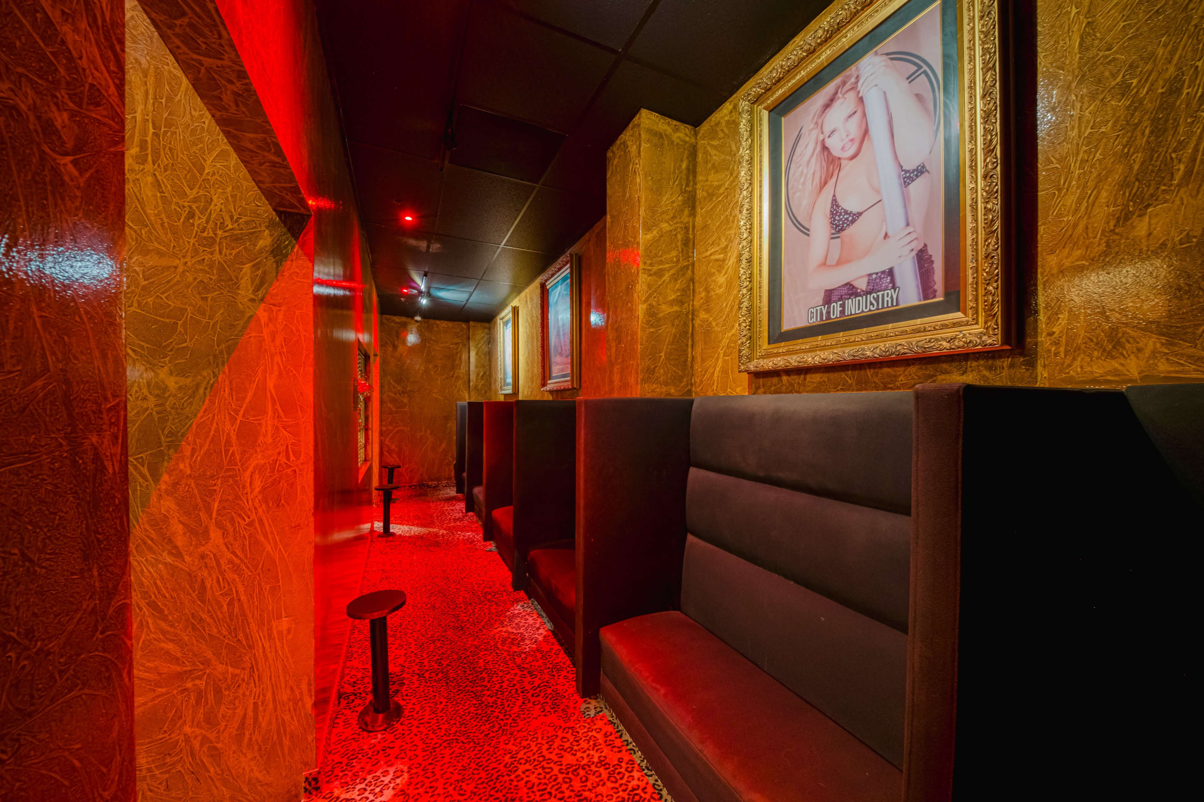 LEOPARD GOLDEN VELVET LOUNGE Image in Harbor Gateway South, Torrance, CA