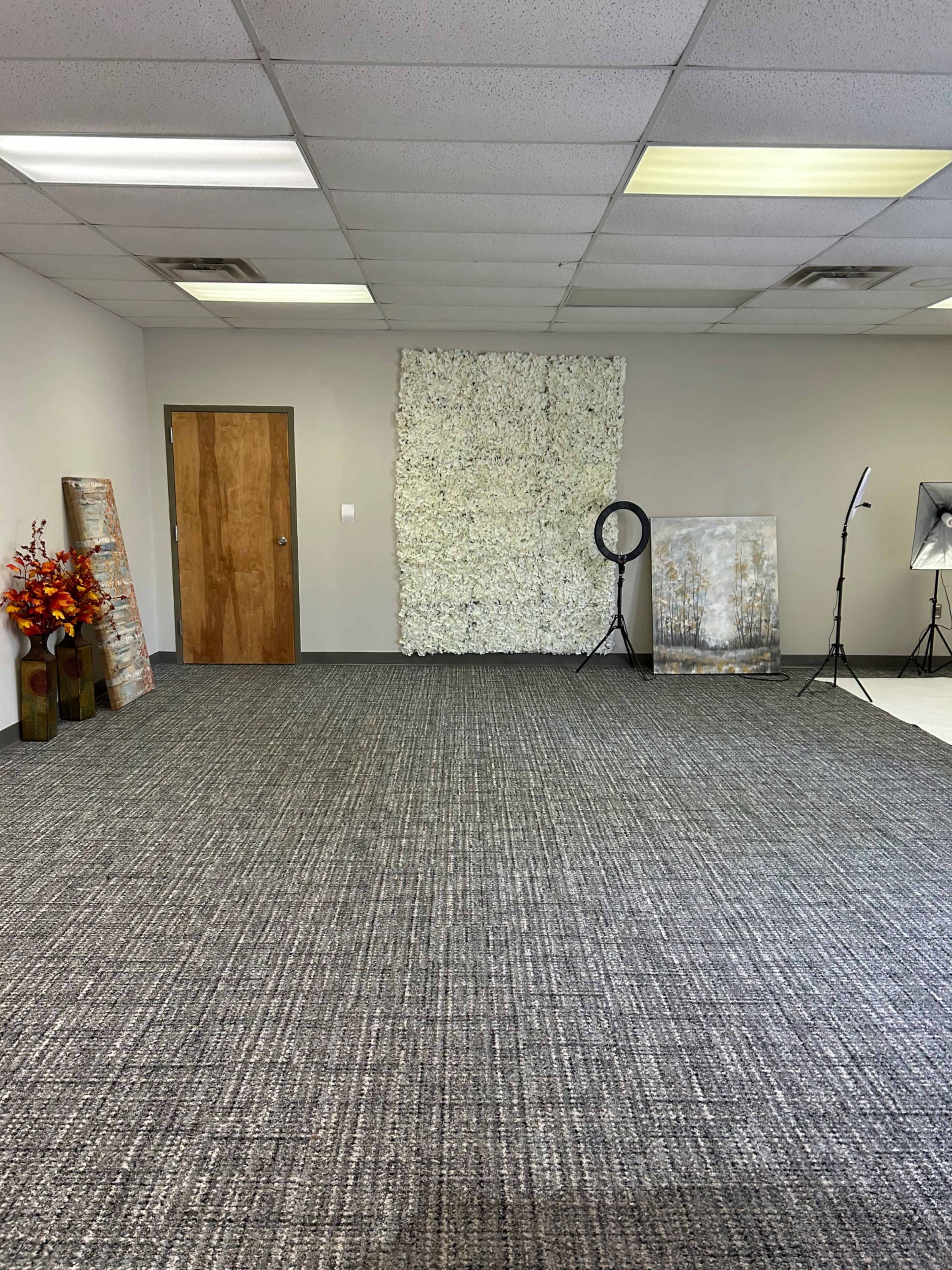 The image shows an empty room with gray carpet, a brown door, a textured white wall, and various photography equipment and decor arranged along the walls.