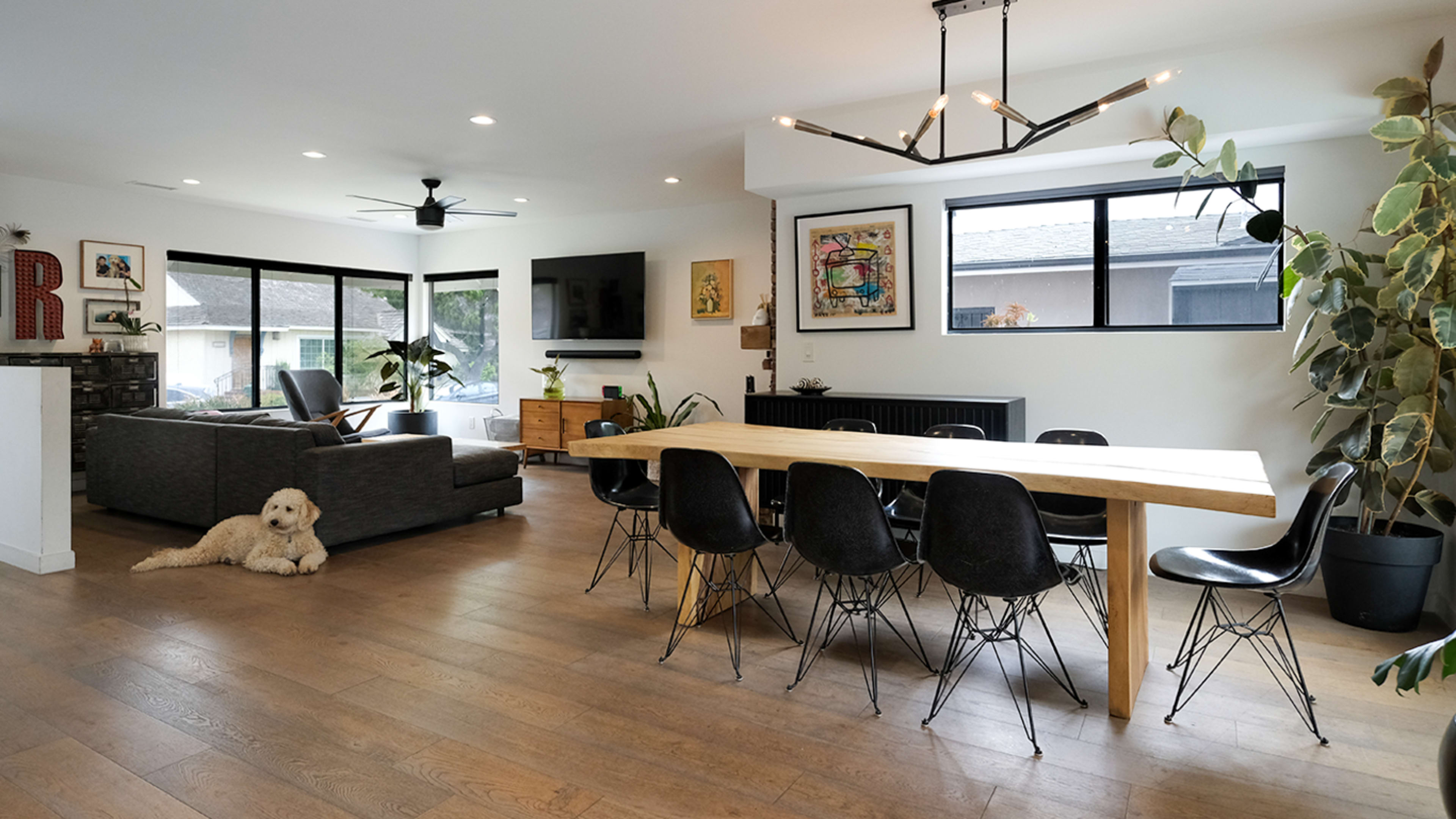 A modern living and dining area with a large wooden table, black chairs, a gray sofa, and a dog resting on the floor.