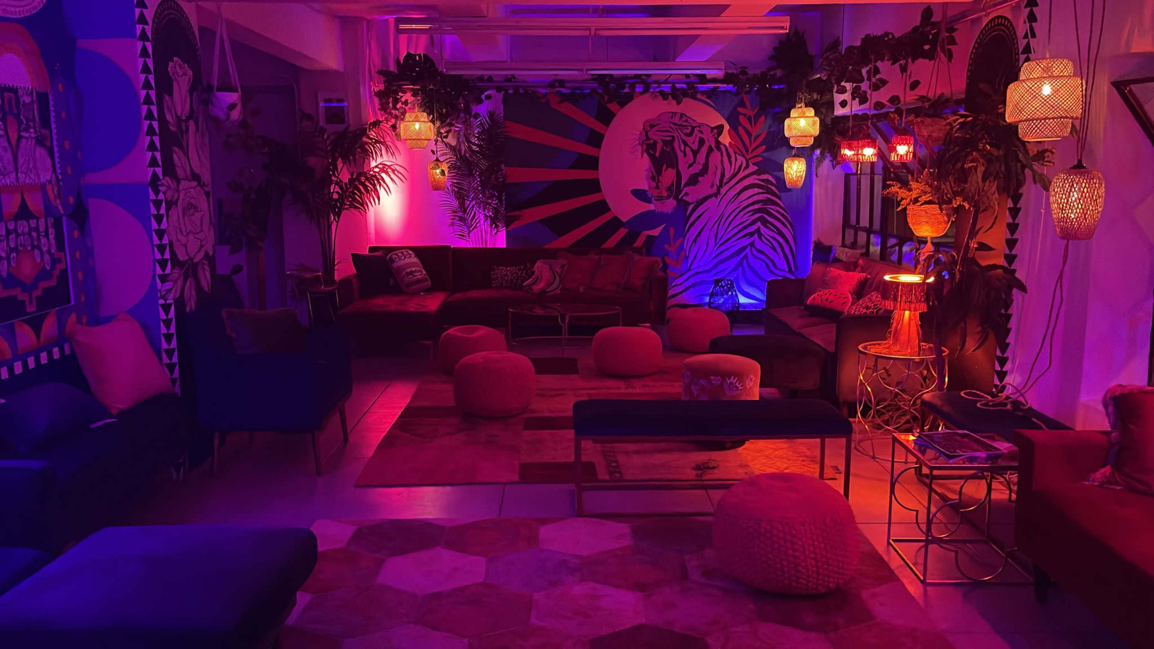 The image shows a vibrant lounge area with colorful lighting, decorative plants, and comfortable seating arrangements featuring various cushions and a prominent wall mural of a tiger.