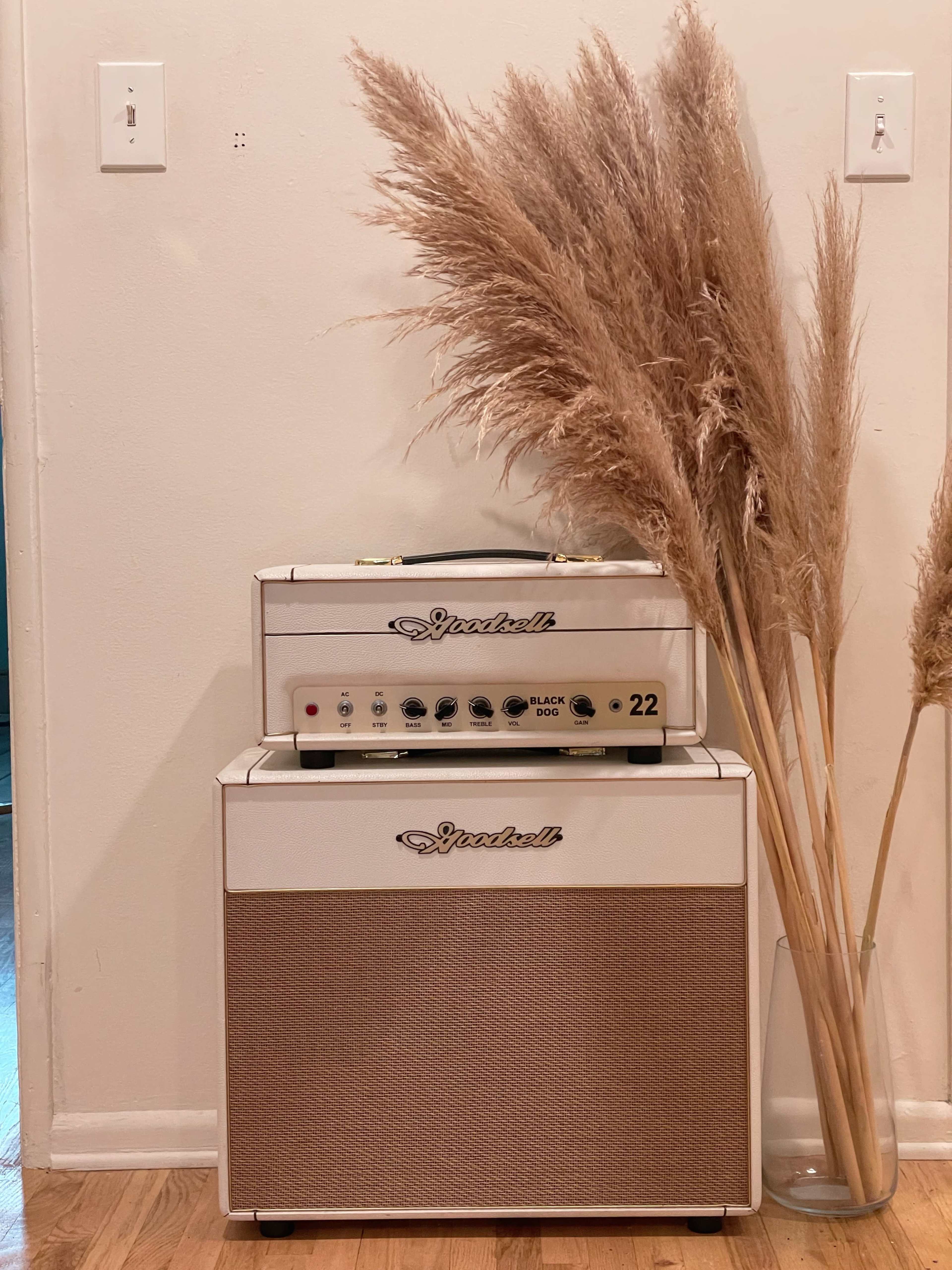 An amplifier is positioned against a white wall next to tall, dried pampas grass in a floor vase.