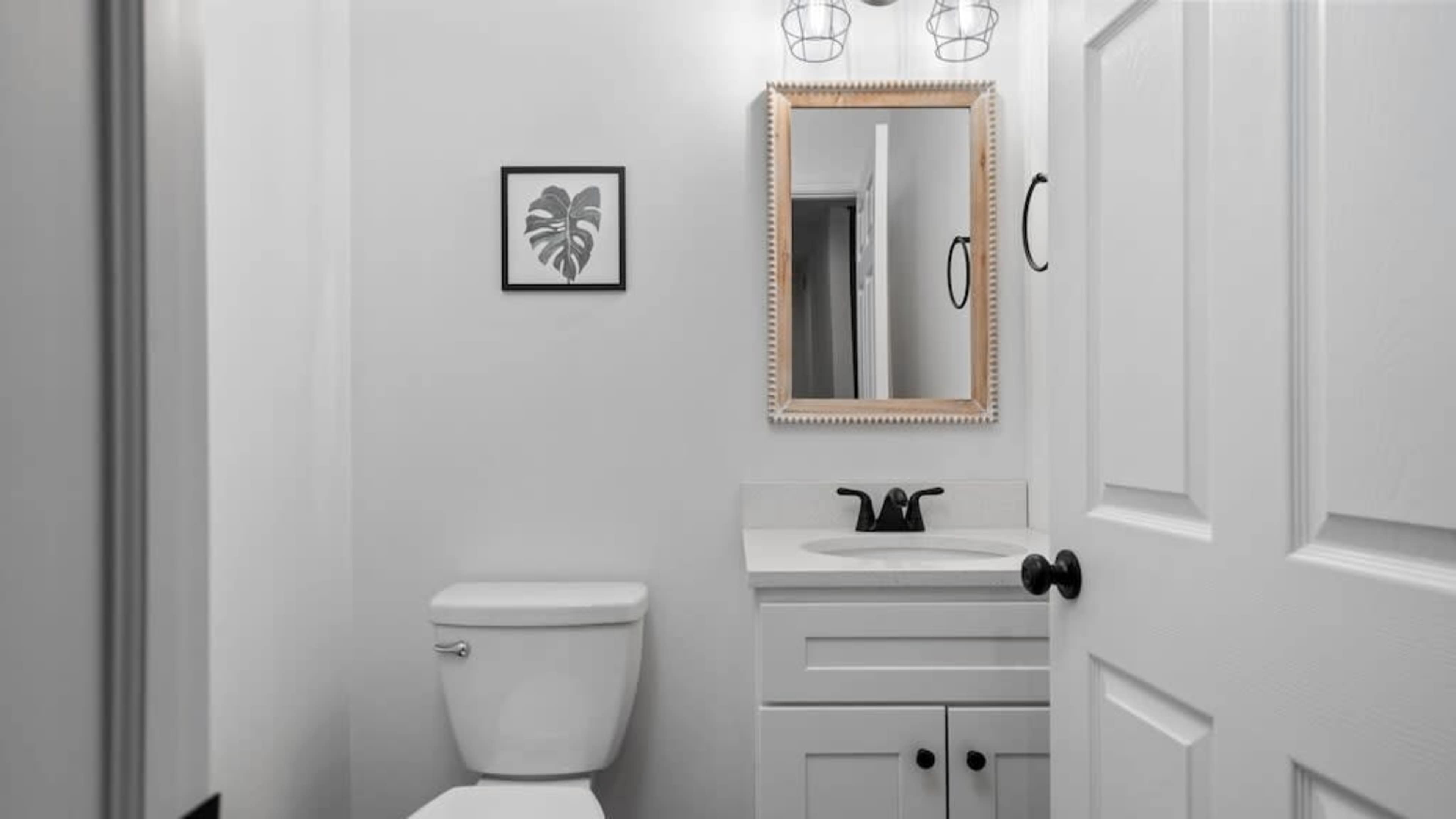 A small bathroom features a white toilet, a sink with a mirror above it, and a framed plant print on the wall.