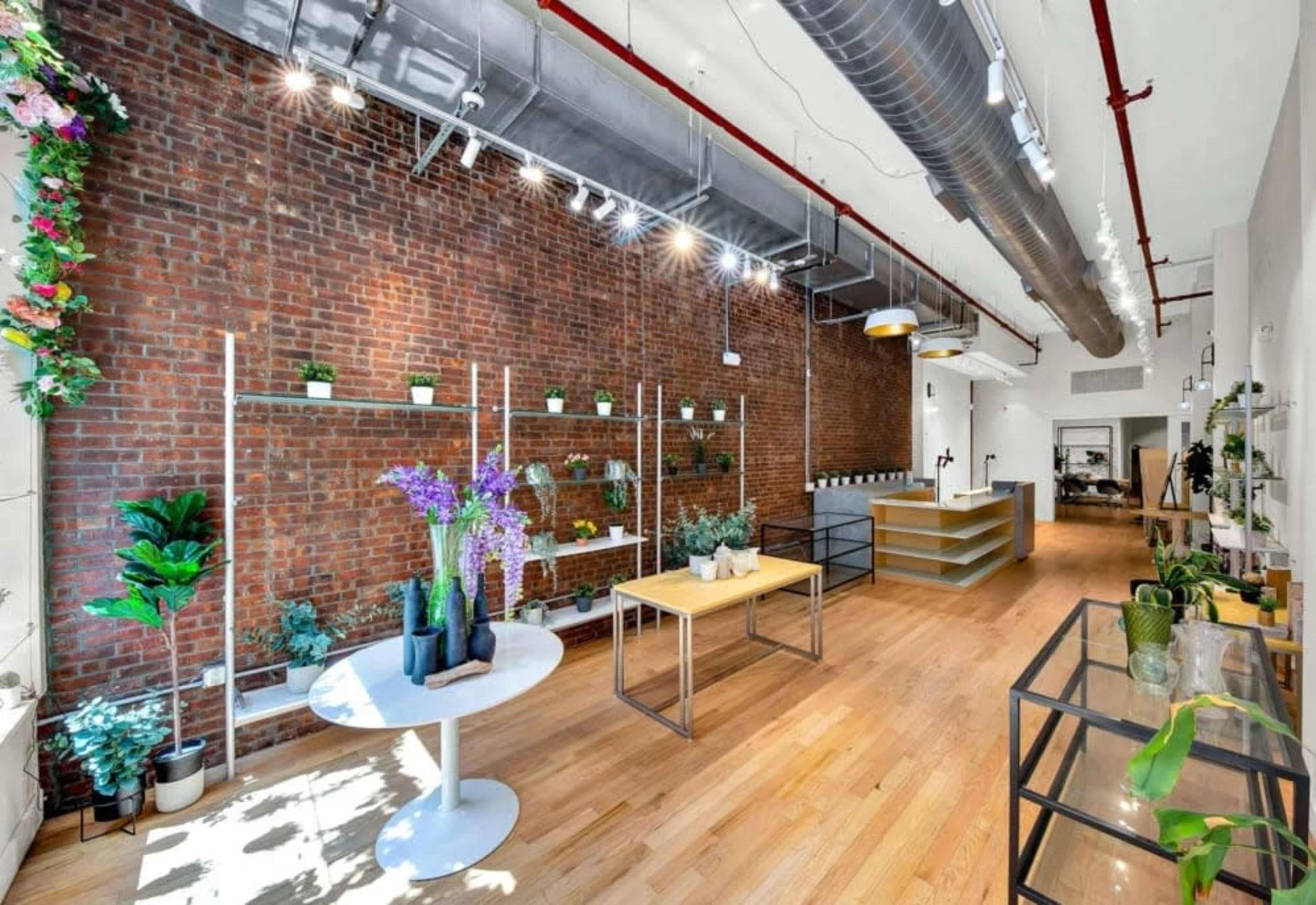The image shows a spacious retail space with exposed brick walls, wooden flooring, and various plants displayed on white shelves and tables.