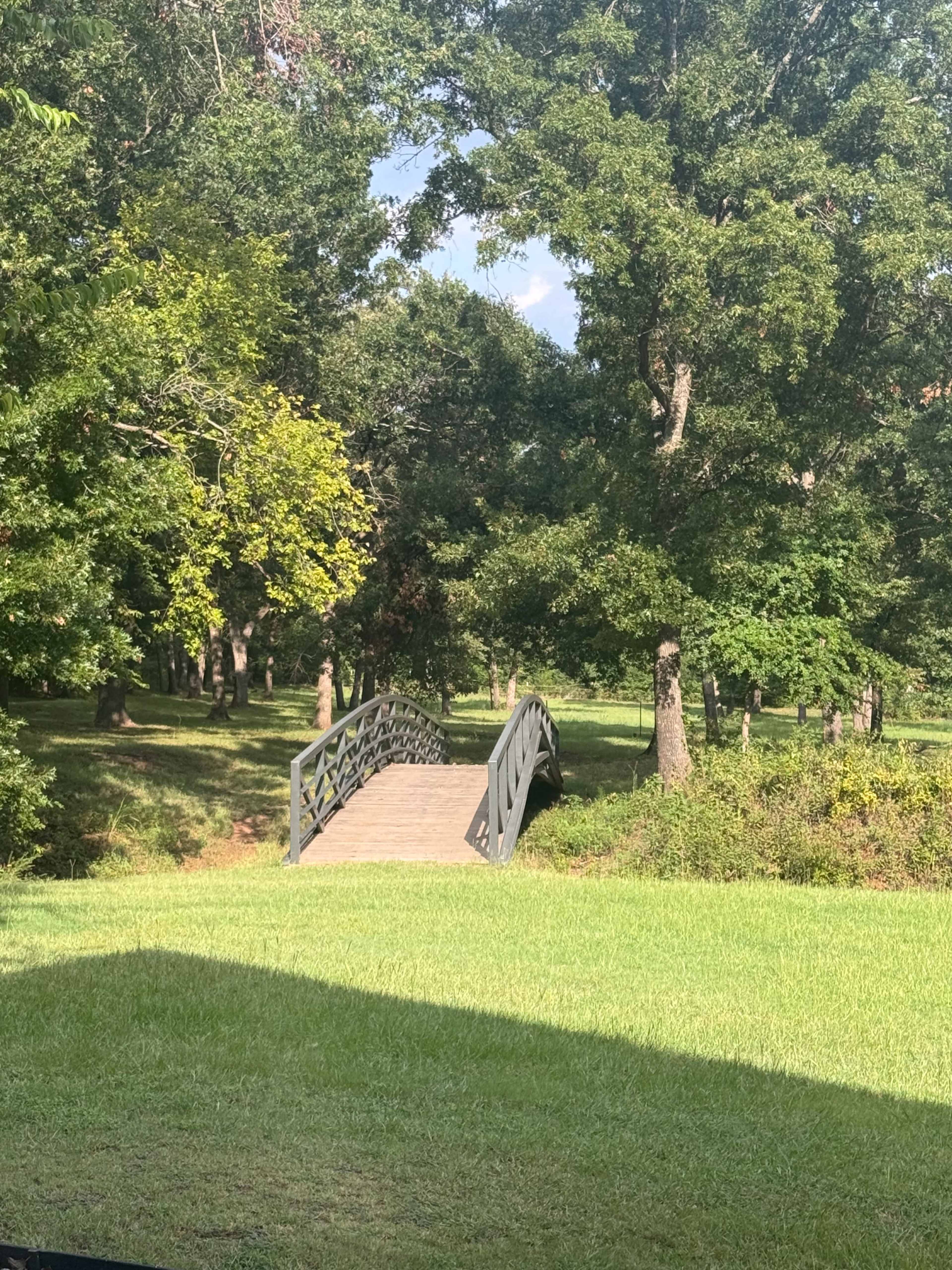 A wooden bridge arches over a shallow creek, surrounded by a lush green landscape of trees and grass.