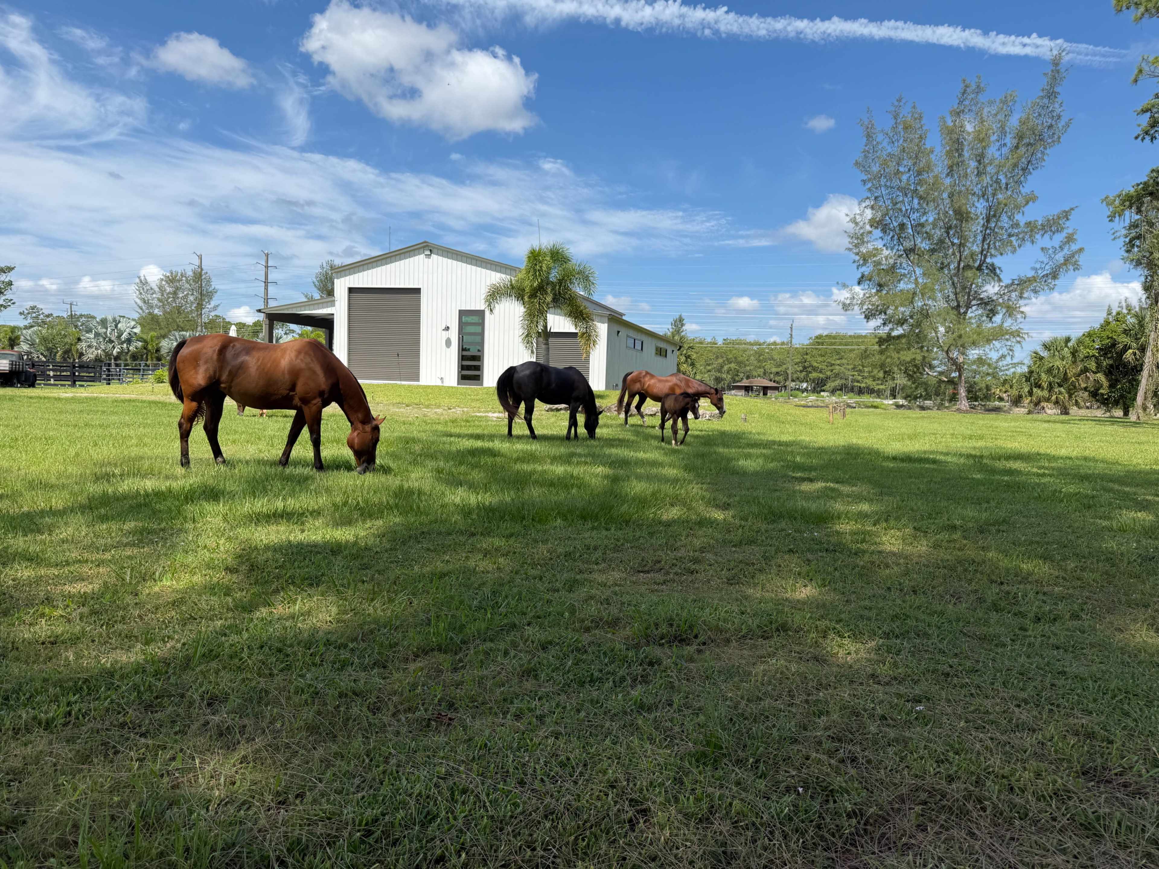 Luxury Ranch Creative Gathering Space Image in , Wellington, FL