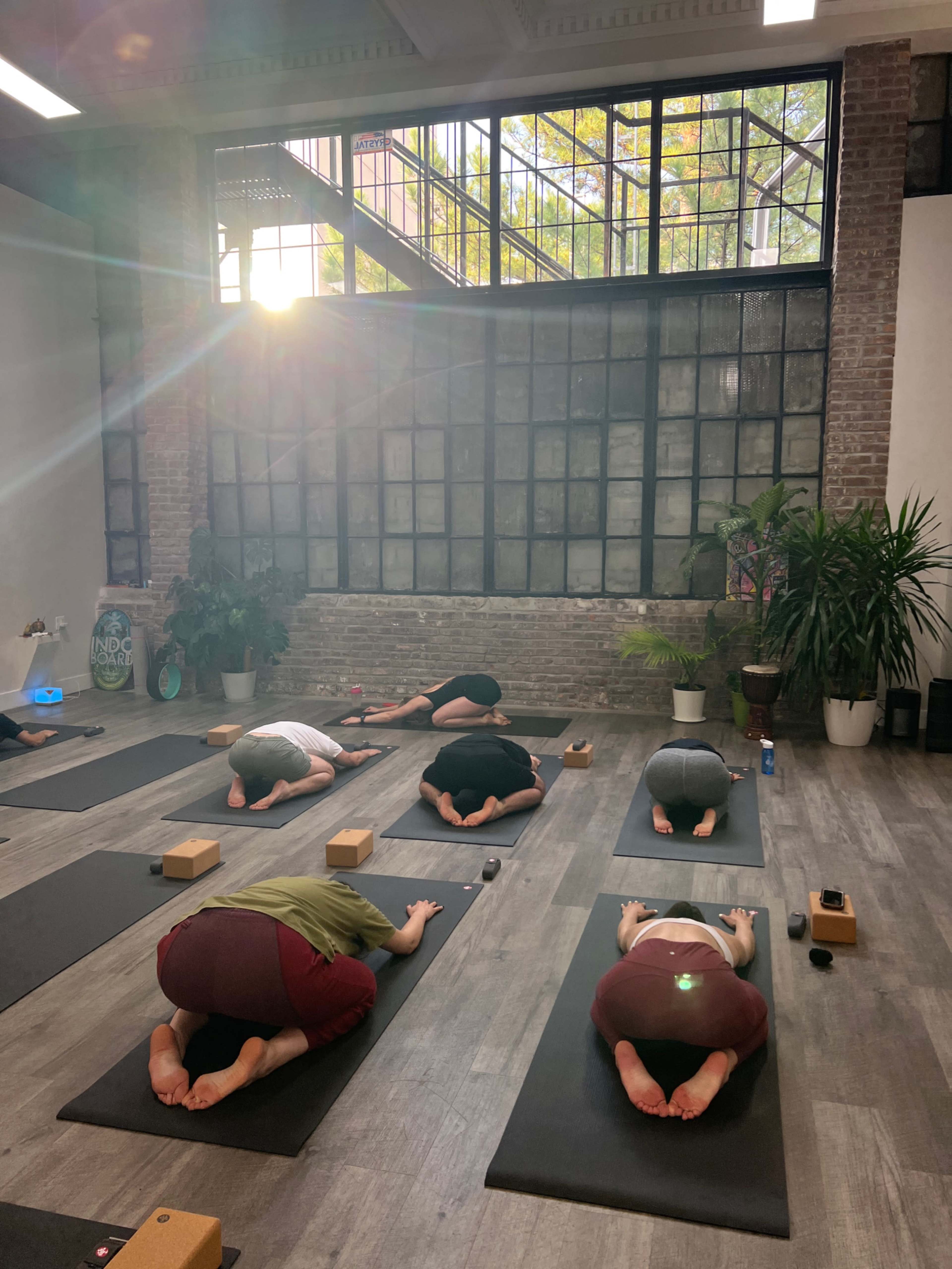 A group of individuals practices yoga in a studio with large windows and natural light illuminating the space.