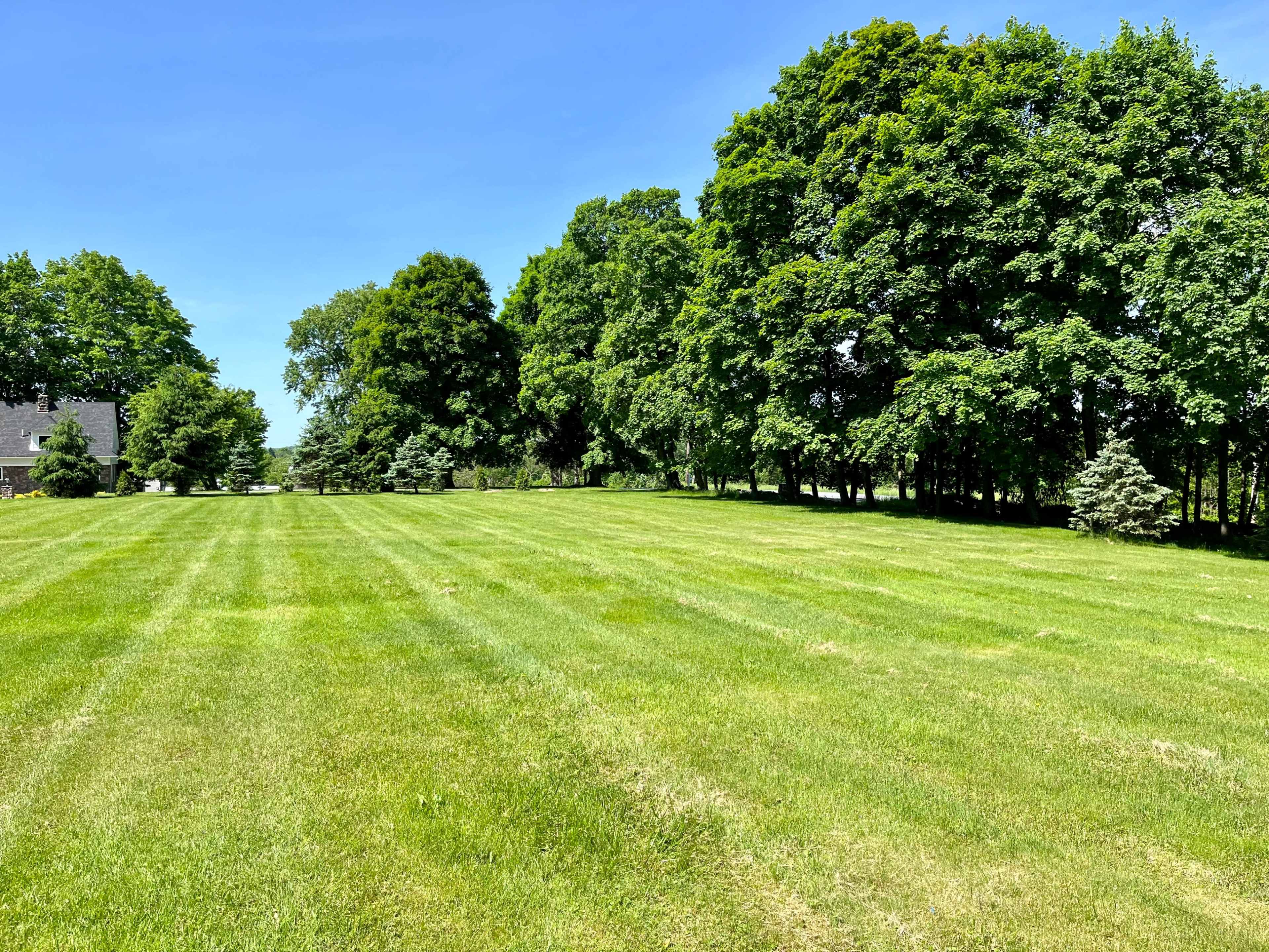 A manicured grassy field is bordered by dense trees under a clear blue sky.
