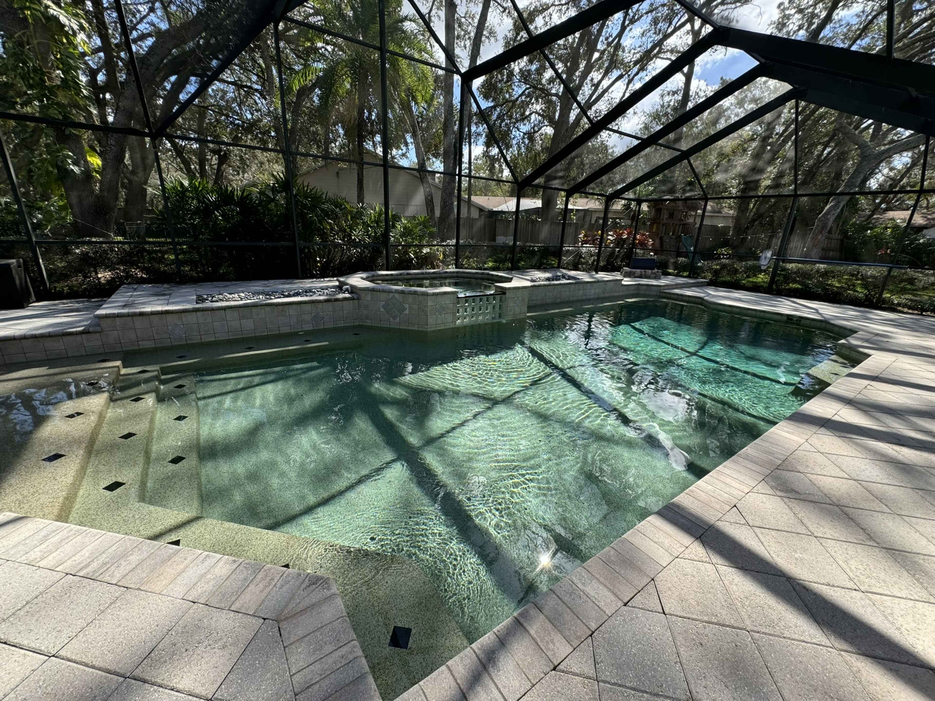 Pool with lush greens Image in Lutz, Tampa, FL