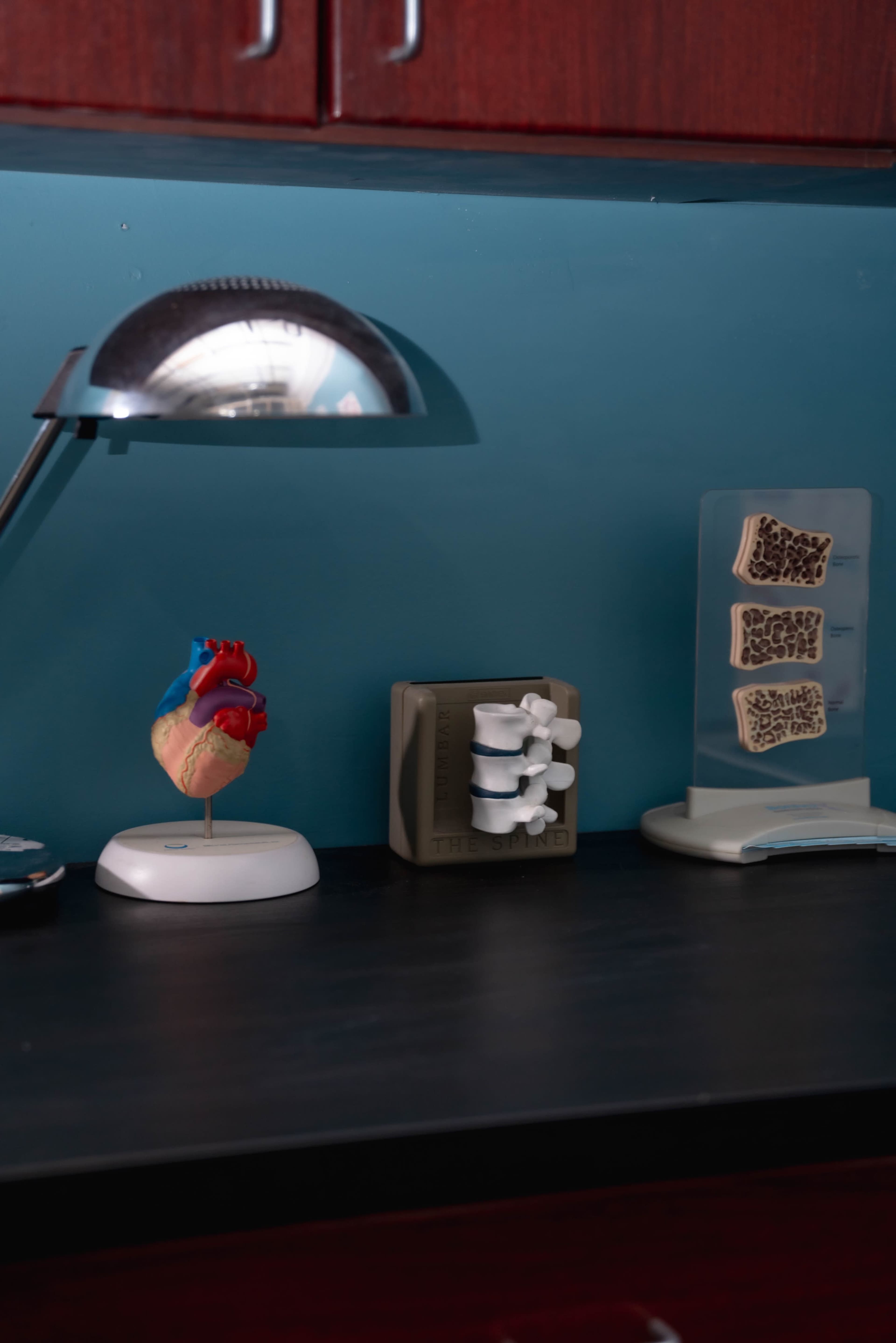 The image shows a desk with a model heart, a spine model, a lamp, and various educational displays against a blue wall.
