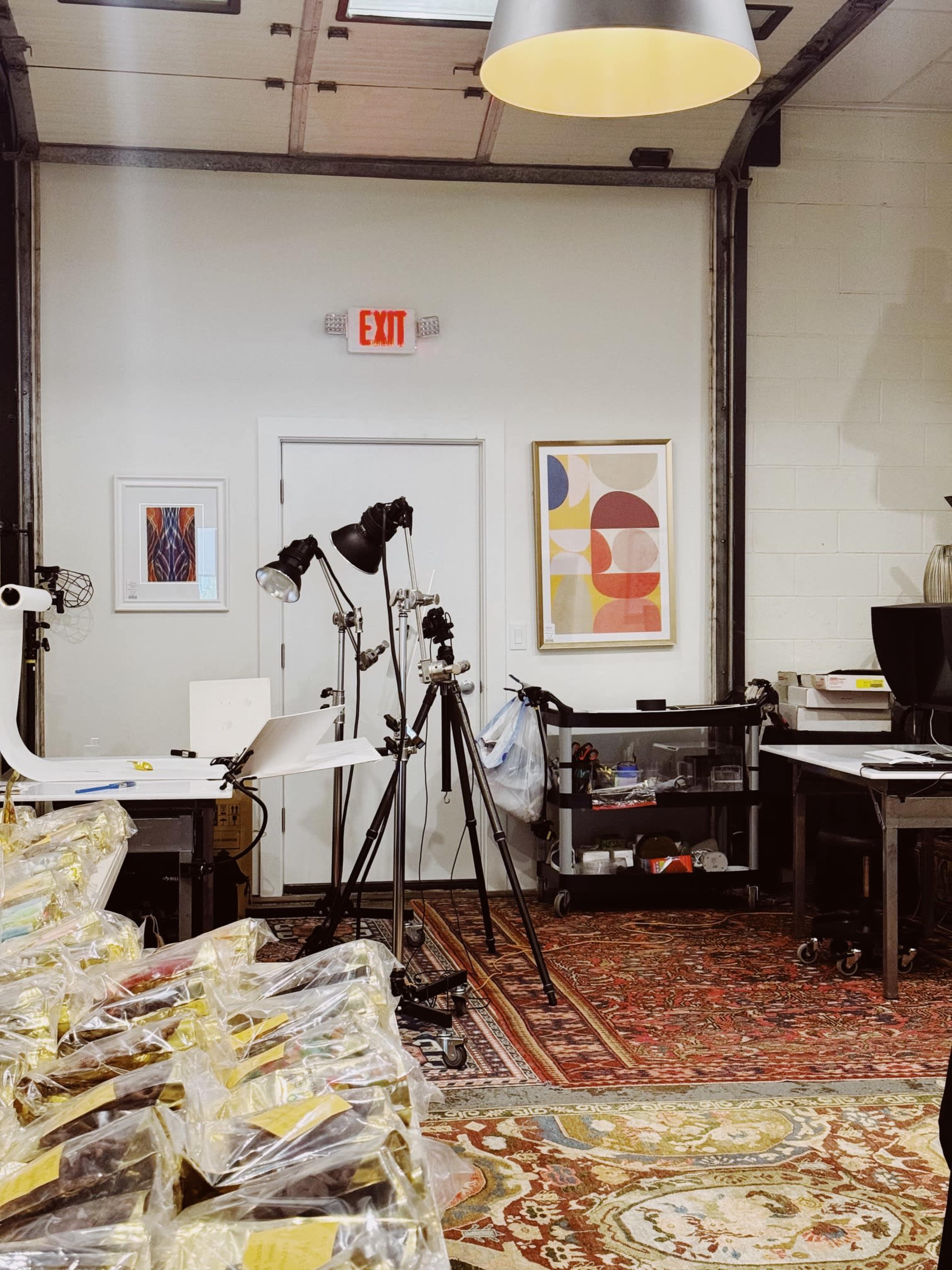 An art studio with large windows, a colorful area rug, and various pieces of equipment set up for photography.