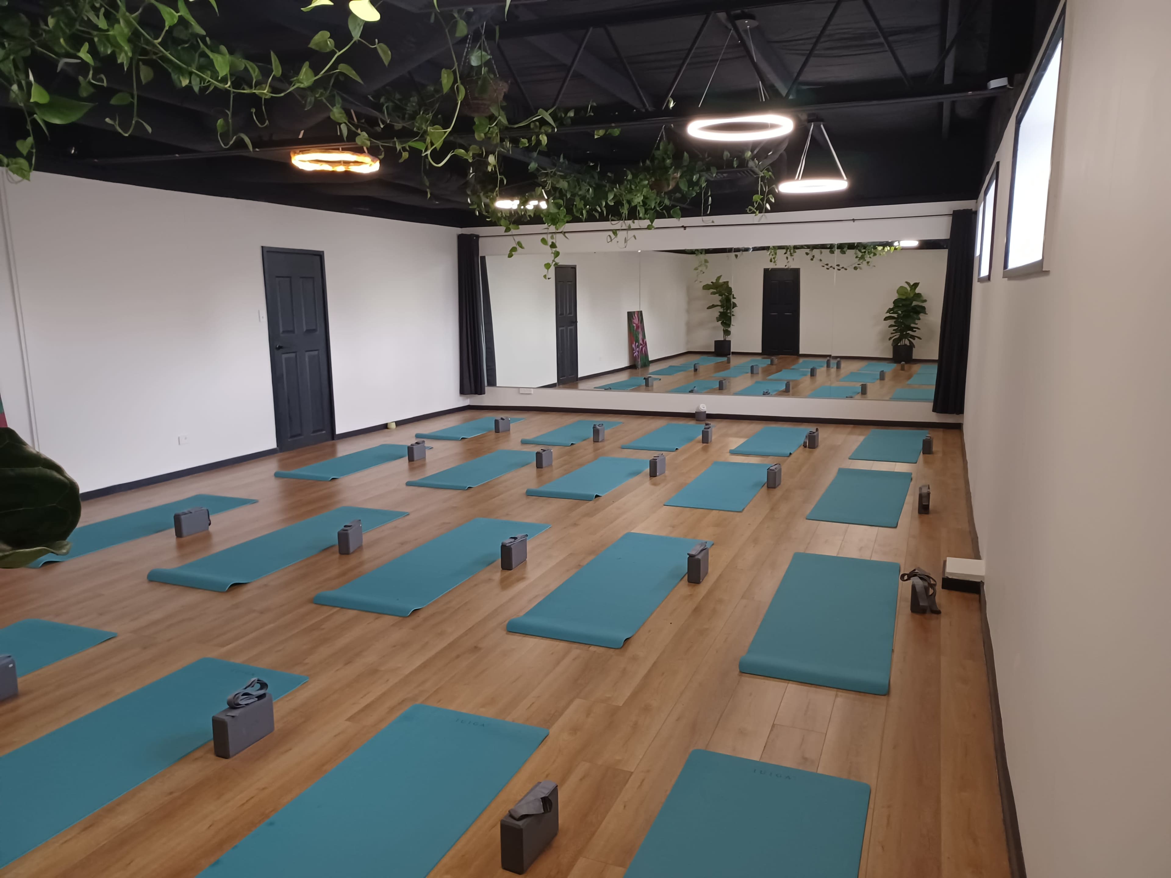A yoga studio with neatly arranged blue mats, blocks, and a large reflective mirror, set under soft lighting and green plants.