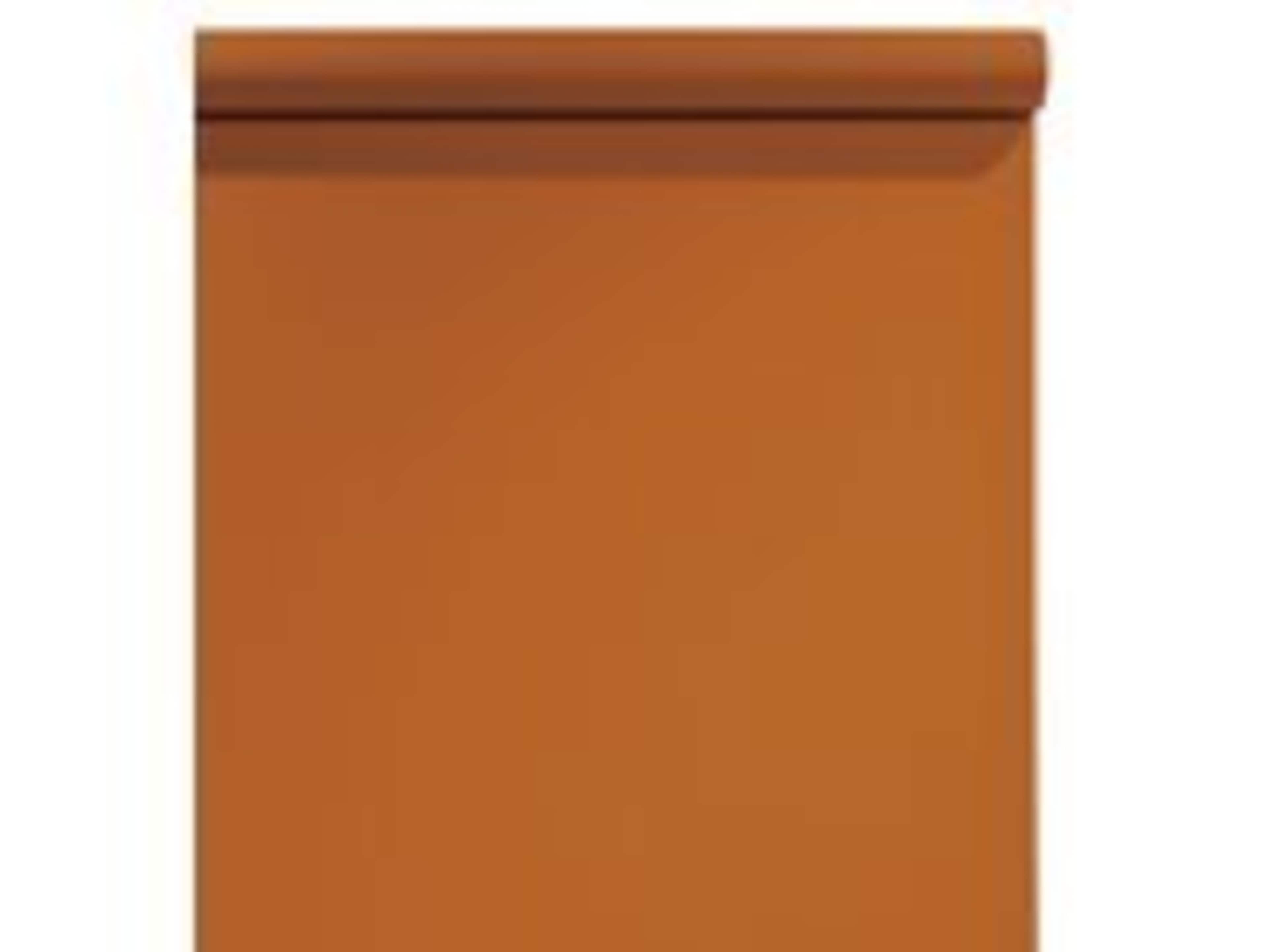 9 Foot Seamless Backdrop Spice